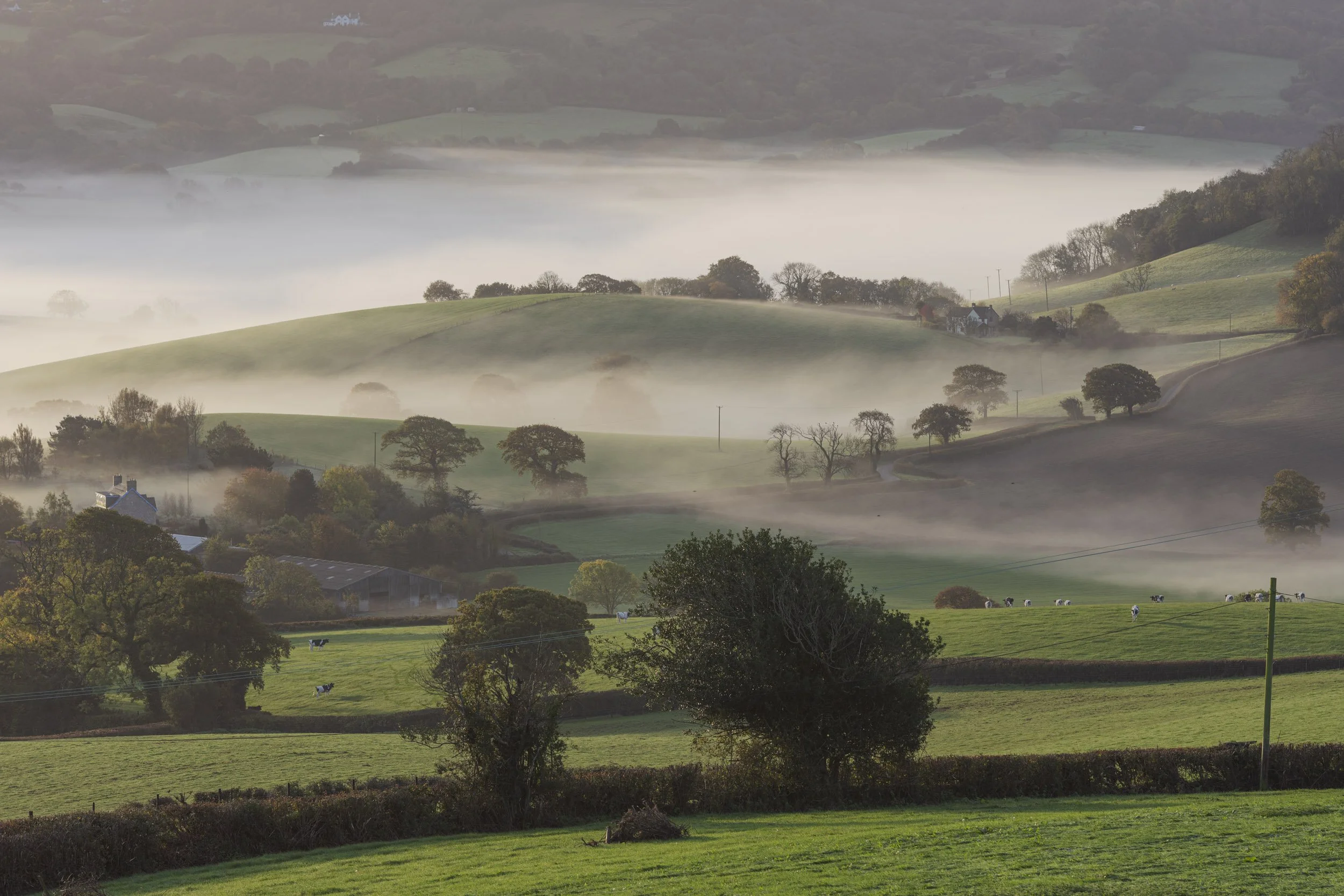 Whitchchurch Canonicorum