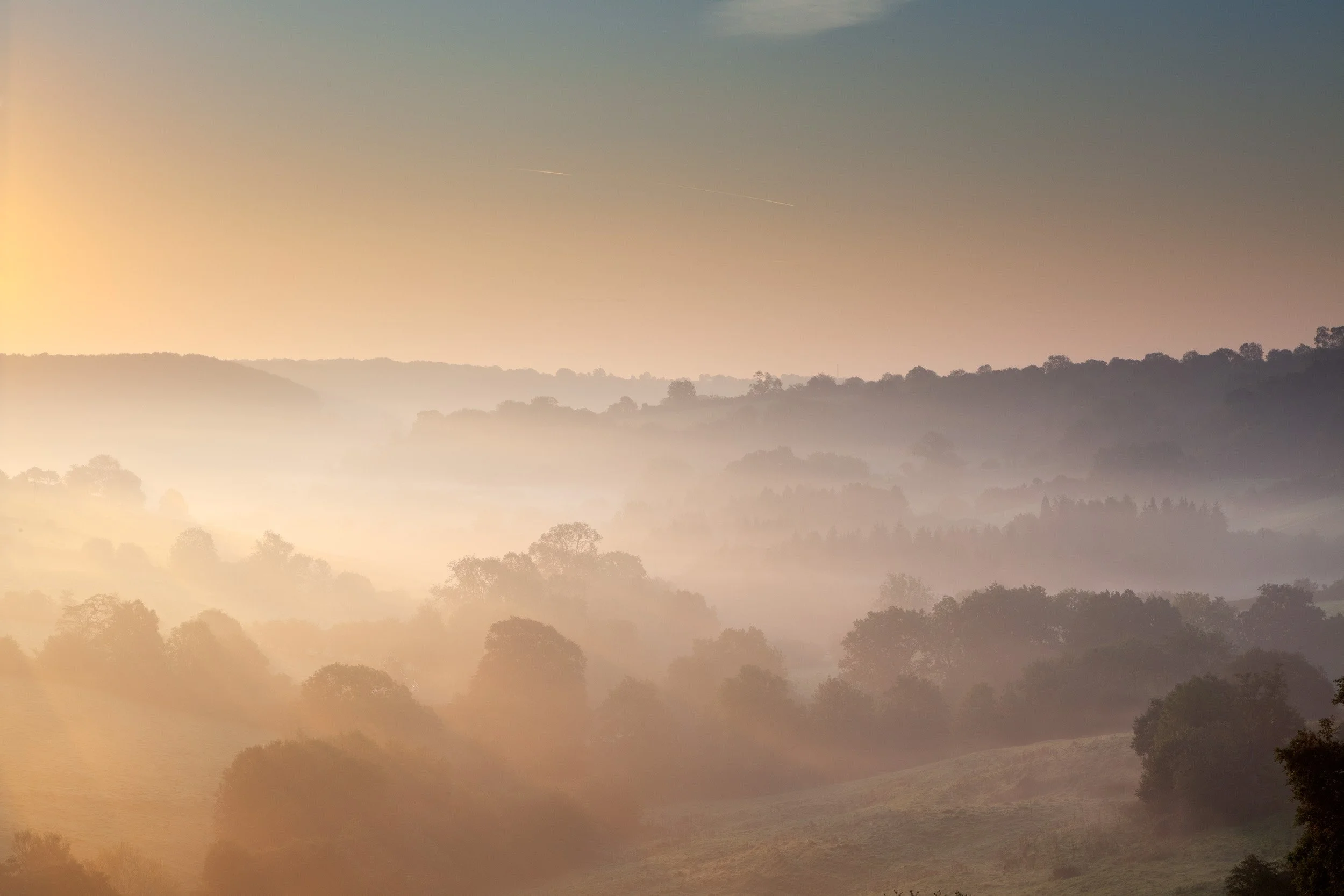 St Catherin's  Valley. Somerset.