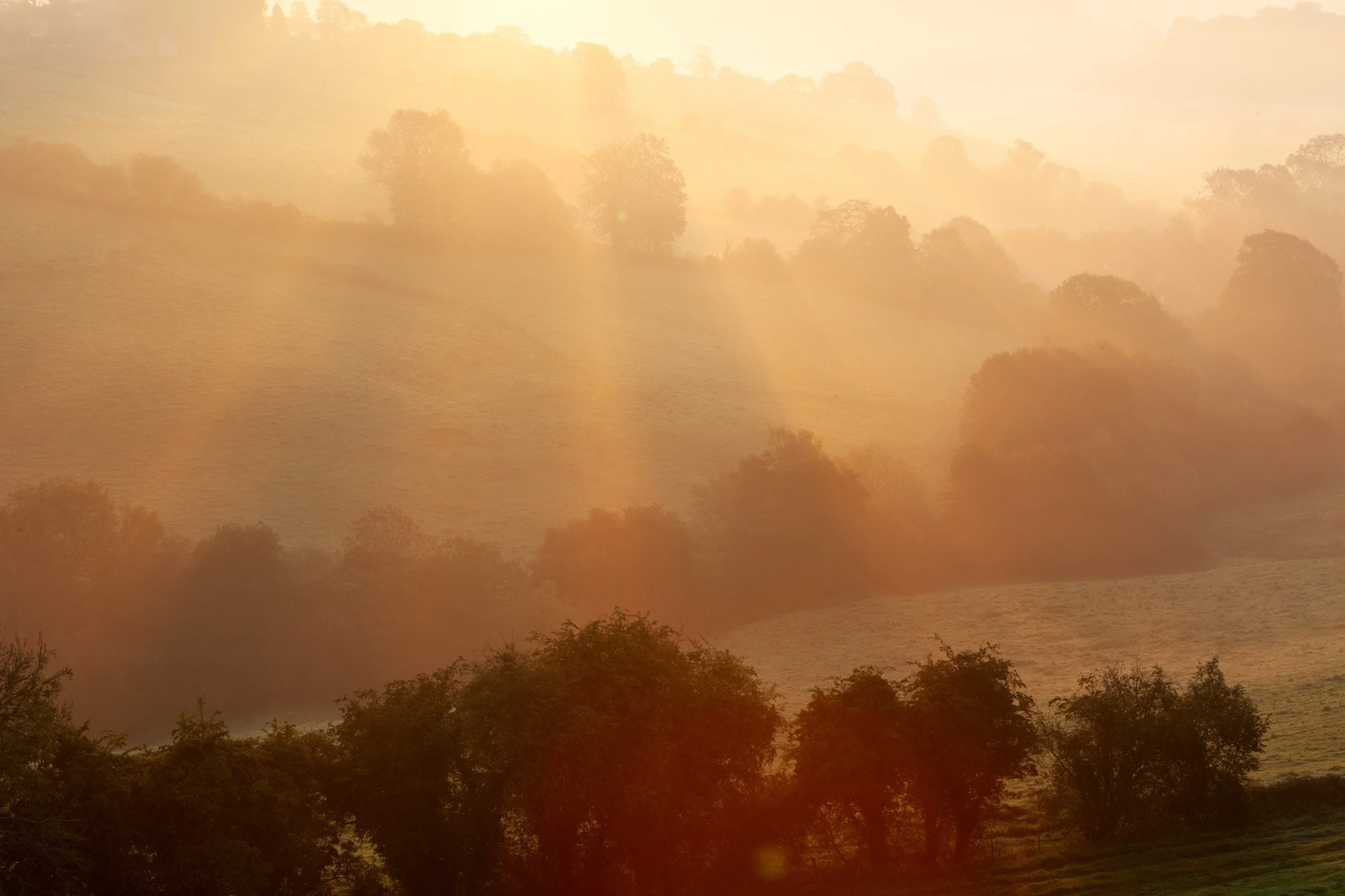 St Catherin's  Valley. Somerset.