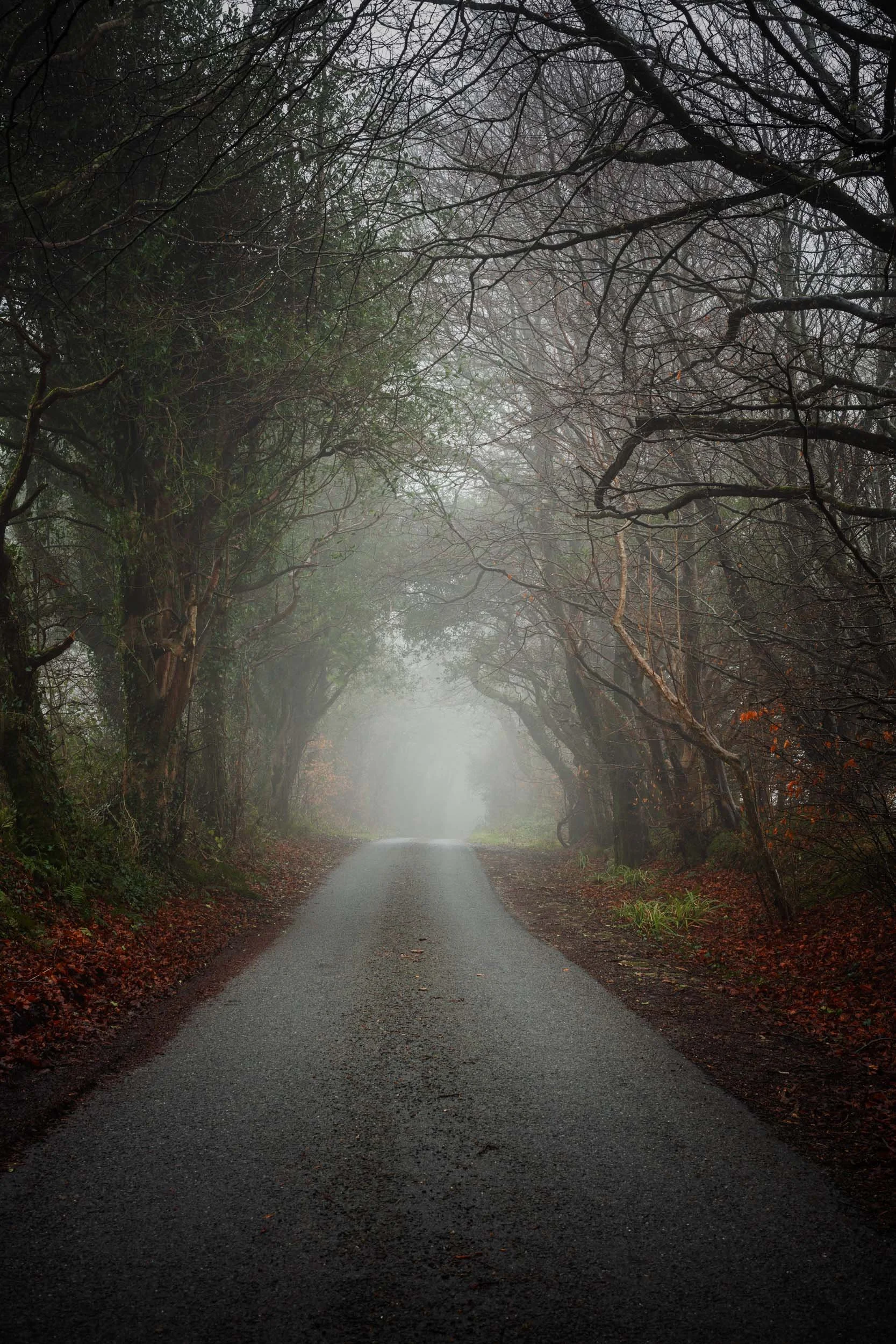 Coney`s Castle. Dorset.