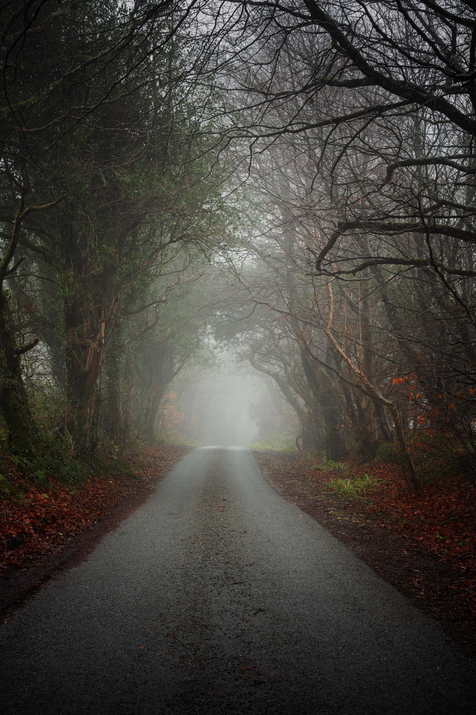 Coneys Castle.  Autumn Lane