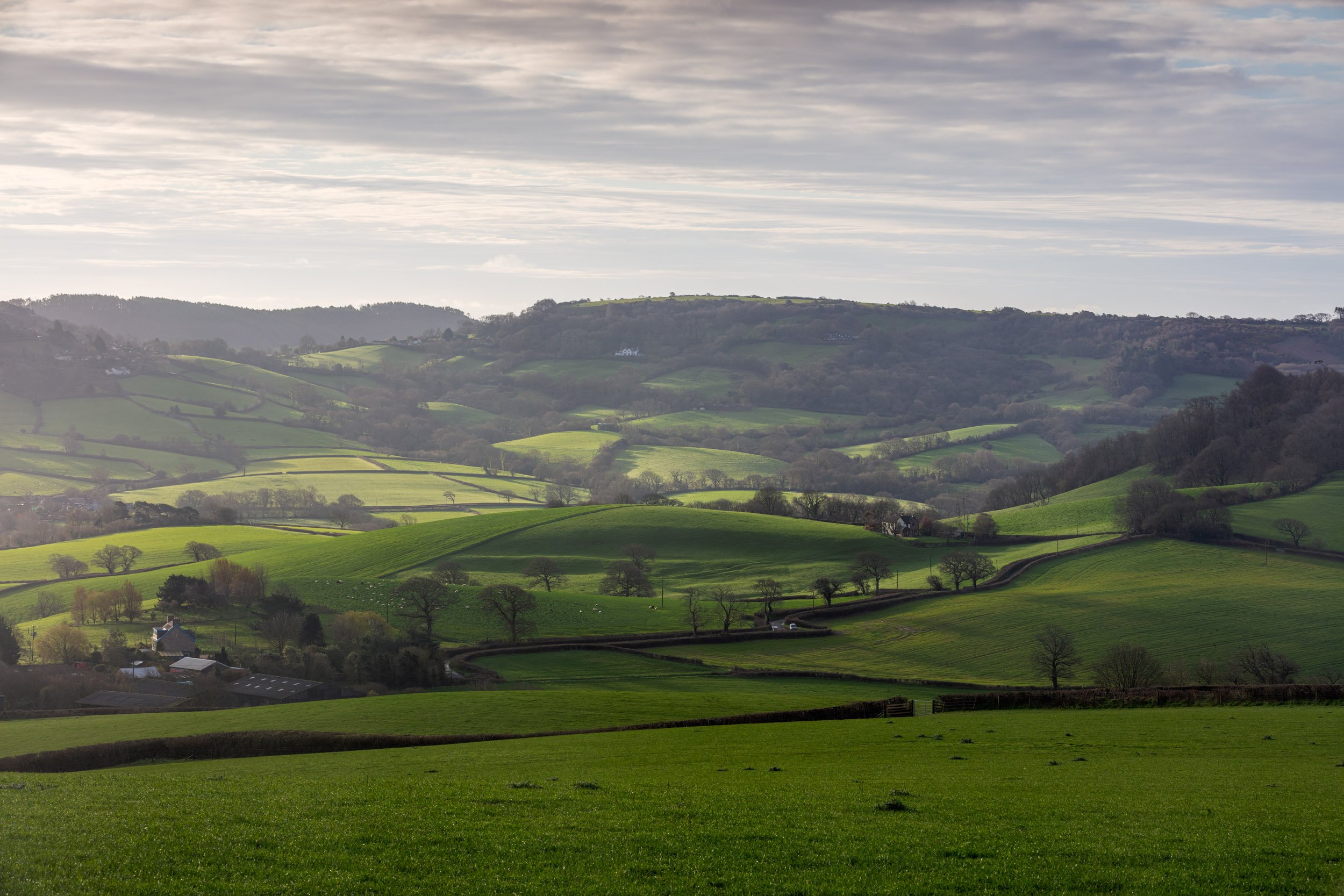 Whitchurch Canicorum.jpg