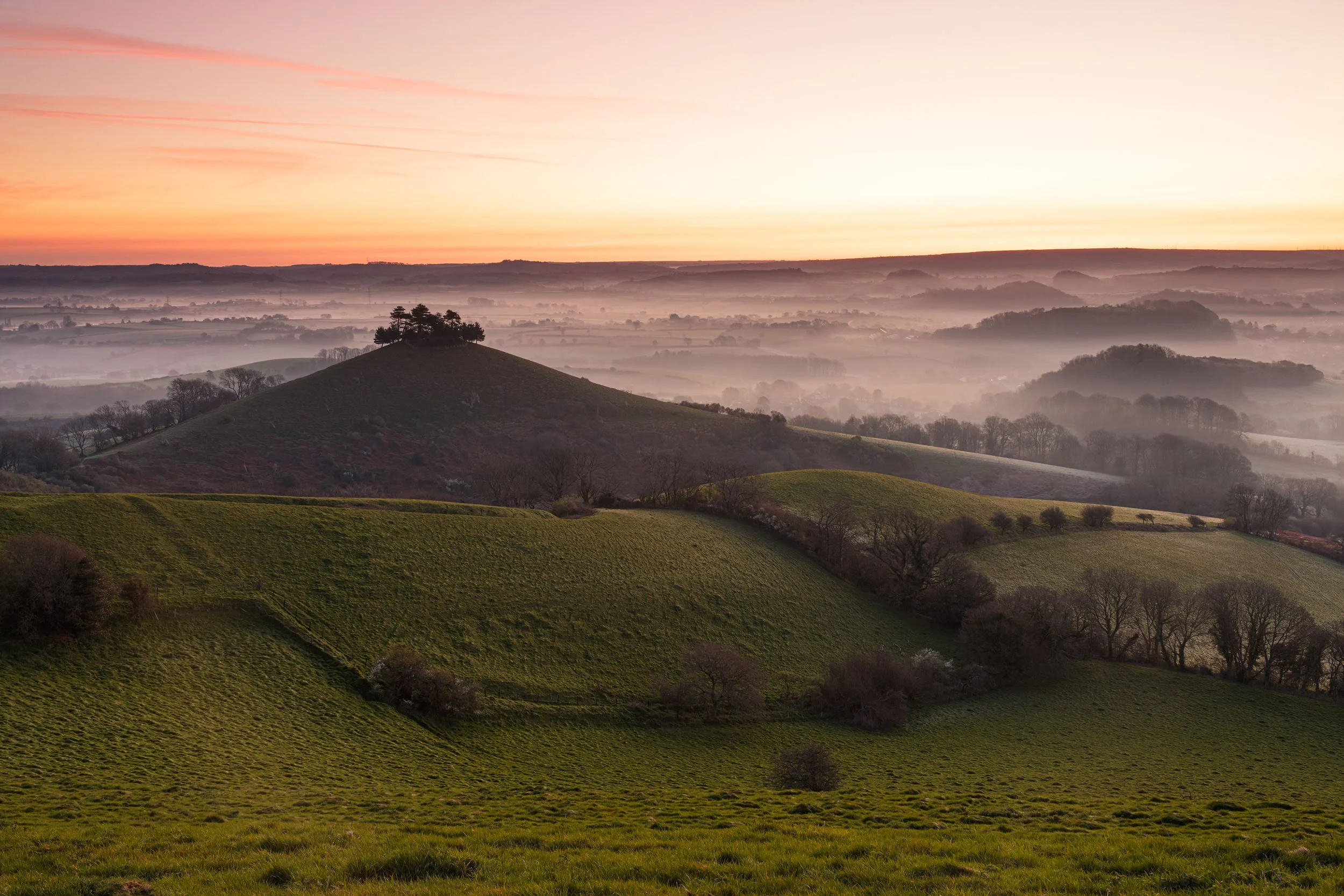 Colmers Hill. Bridport.