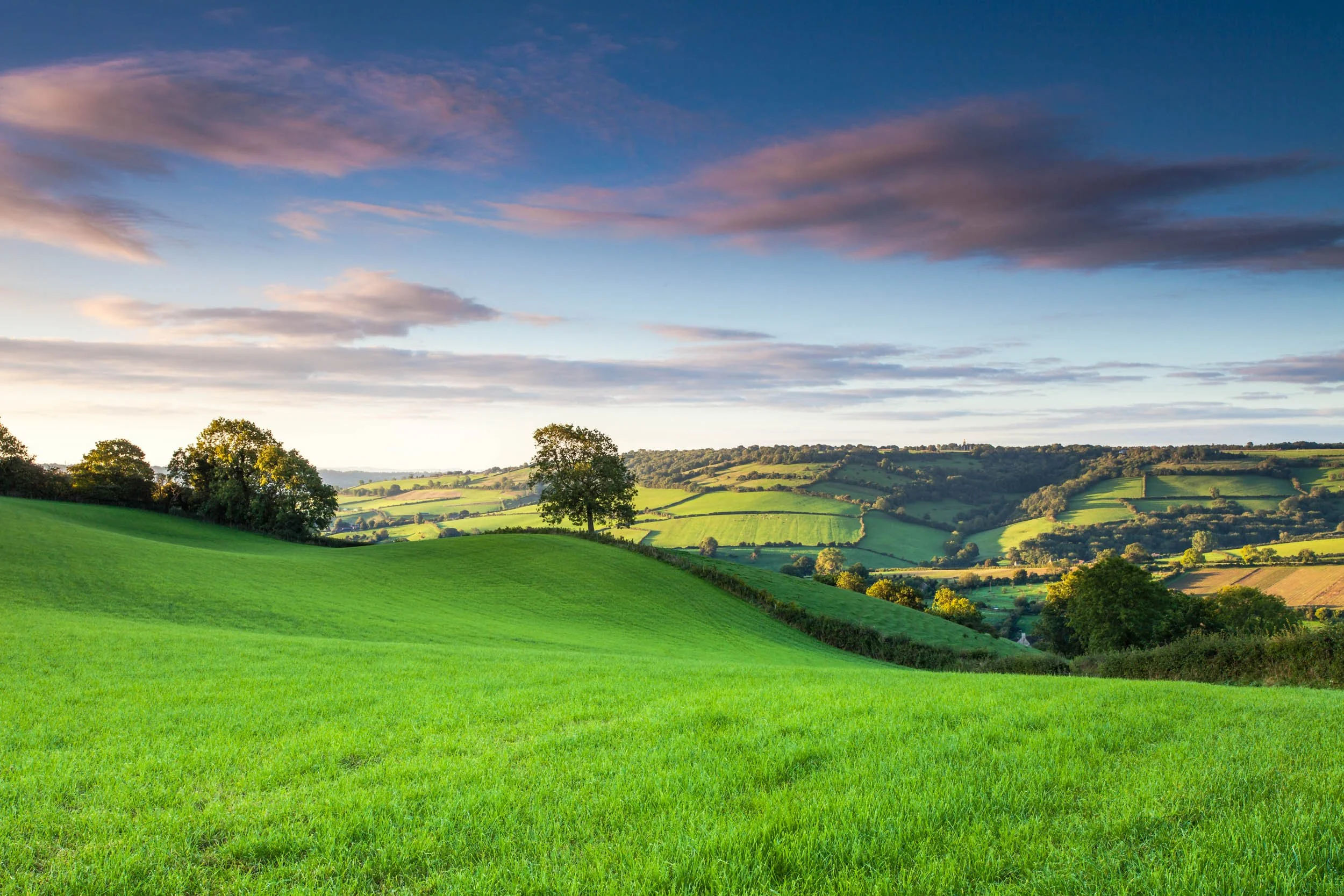 This Green And Pleasant Land. Somerset