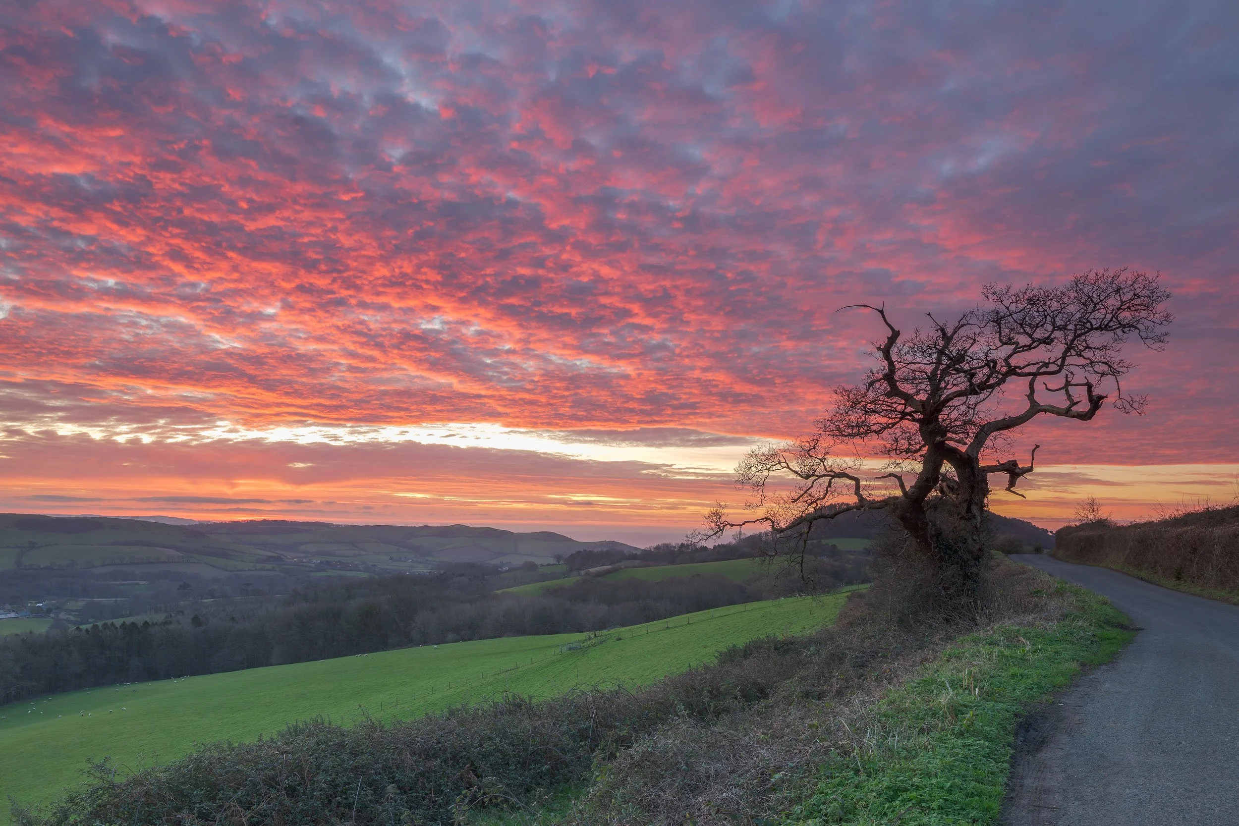 Morcombelake. Red Dawn.