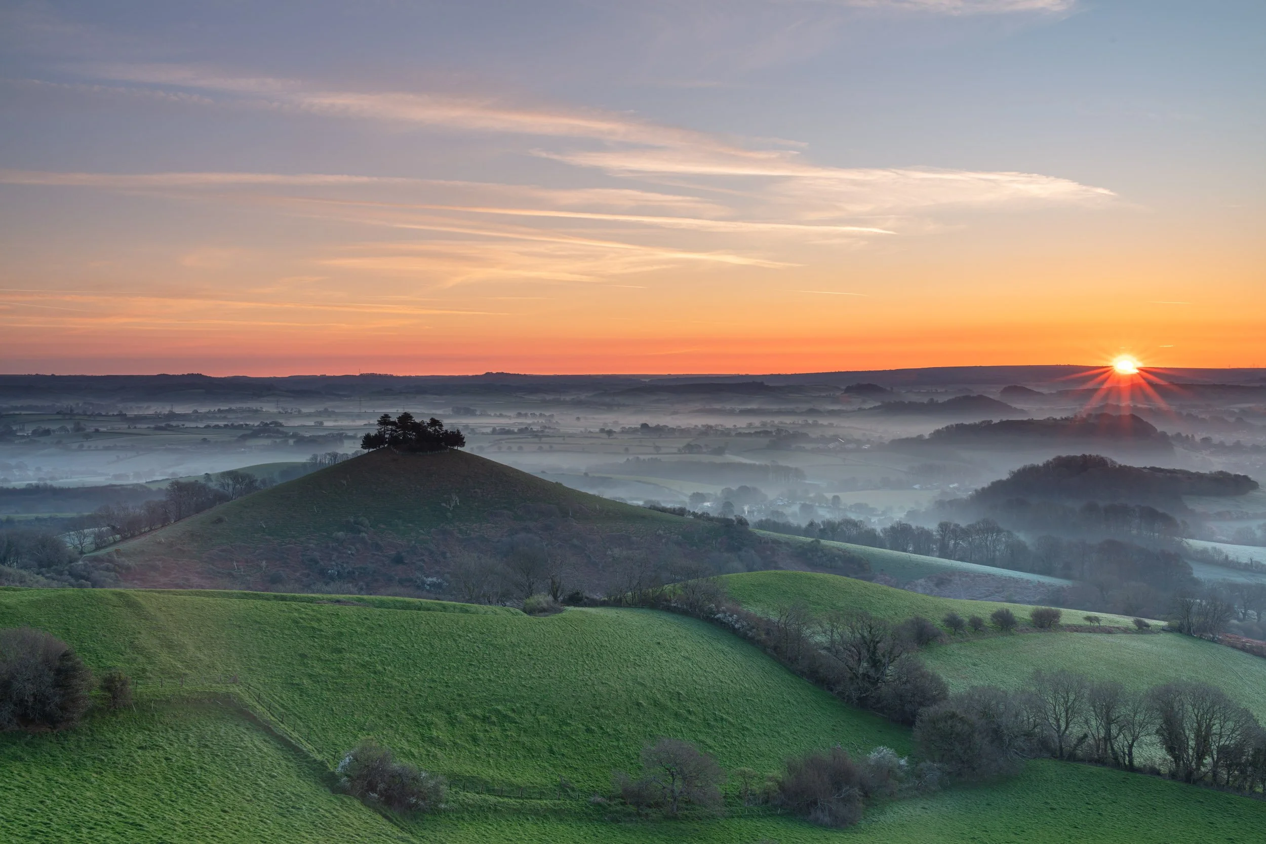 Colmers Hill. Bridport.