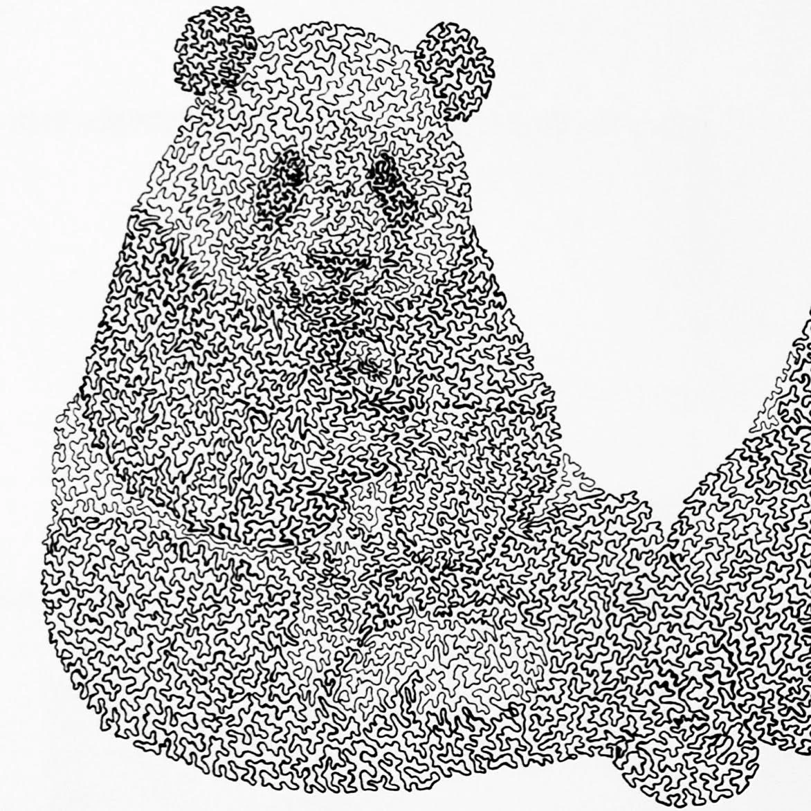 Panda Detail.jpg