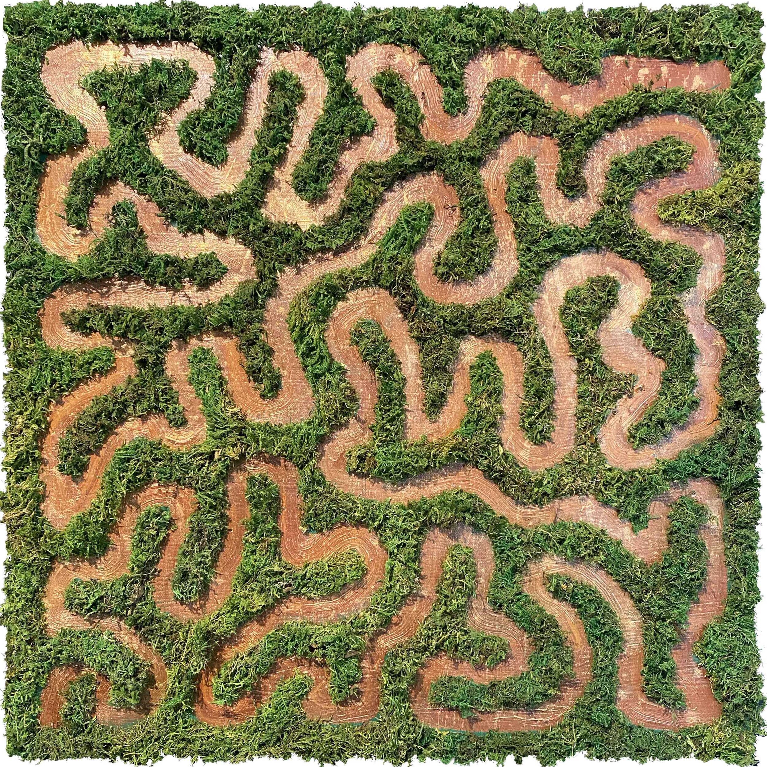 Moss+Labyrinth,+Daniel+Dugan+Art.jpg
