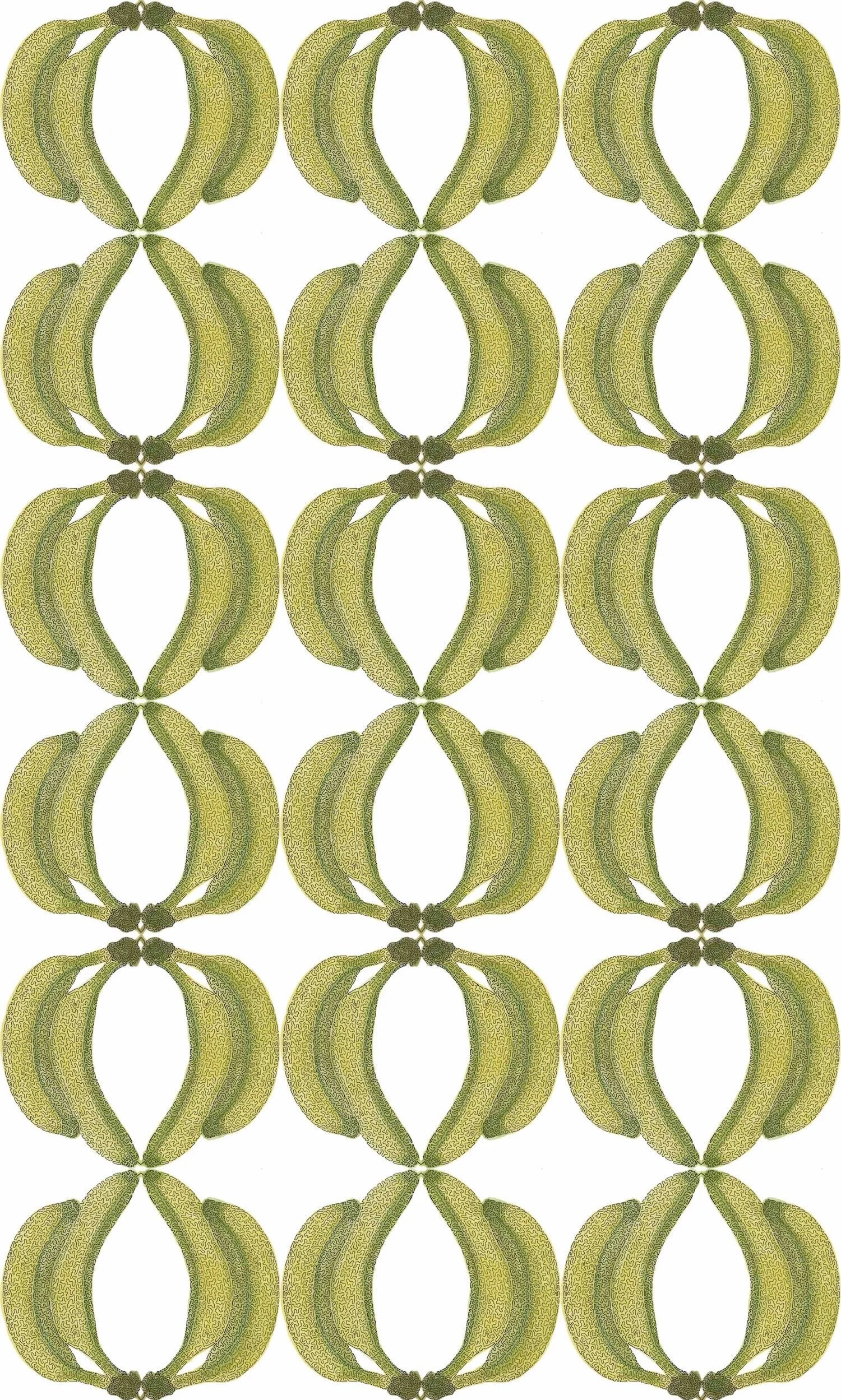 Bananas wallpaper BY DANIEL DUGAN.jpeg