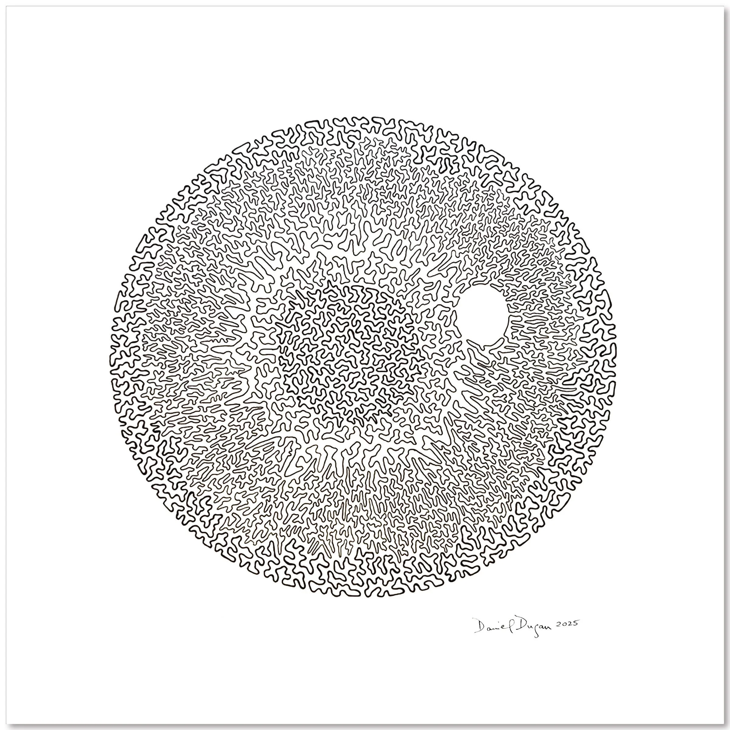 Line of Sight, Daniel Dugan 1MB.jpeg