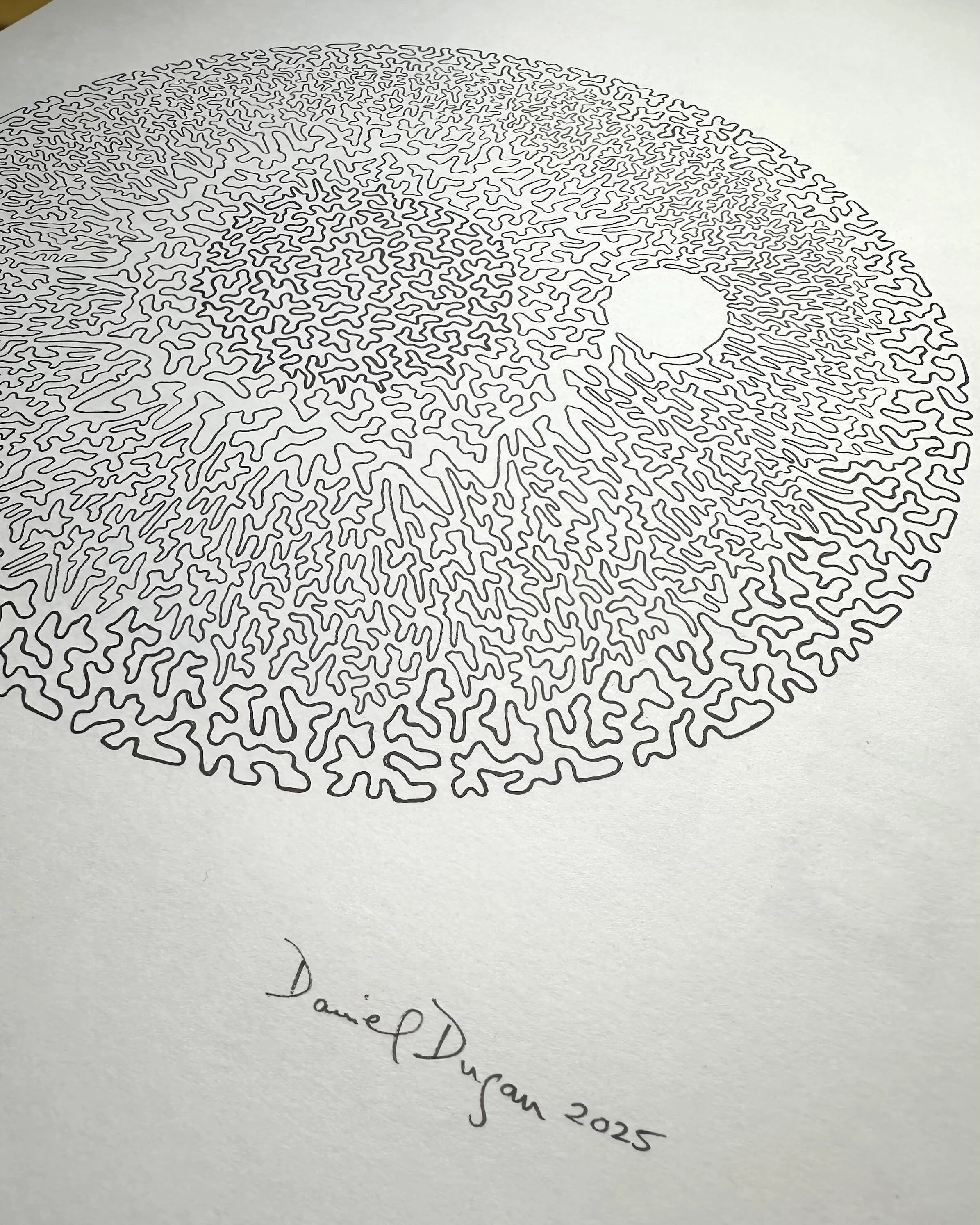 Line of Sight DETAIL 2, Daniel Dugan.jpeg