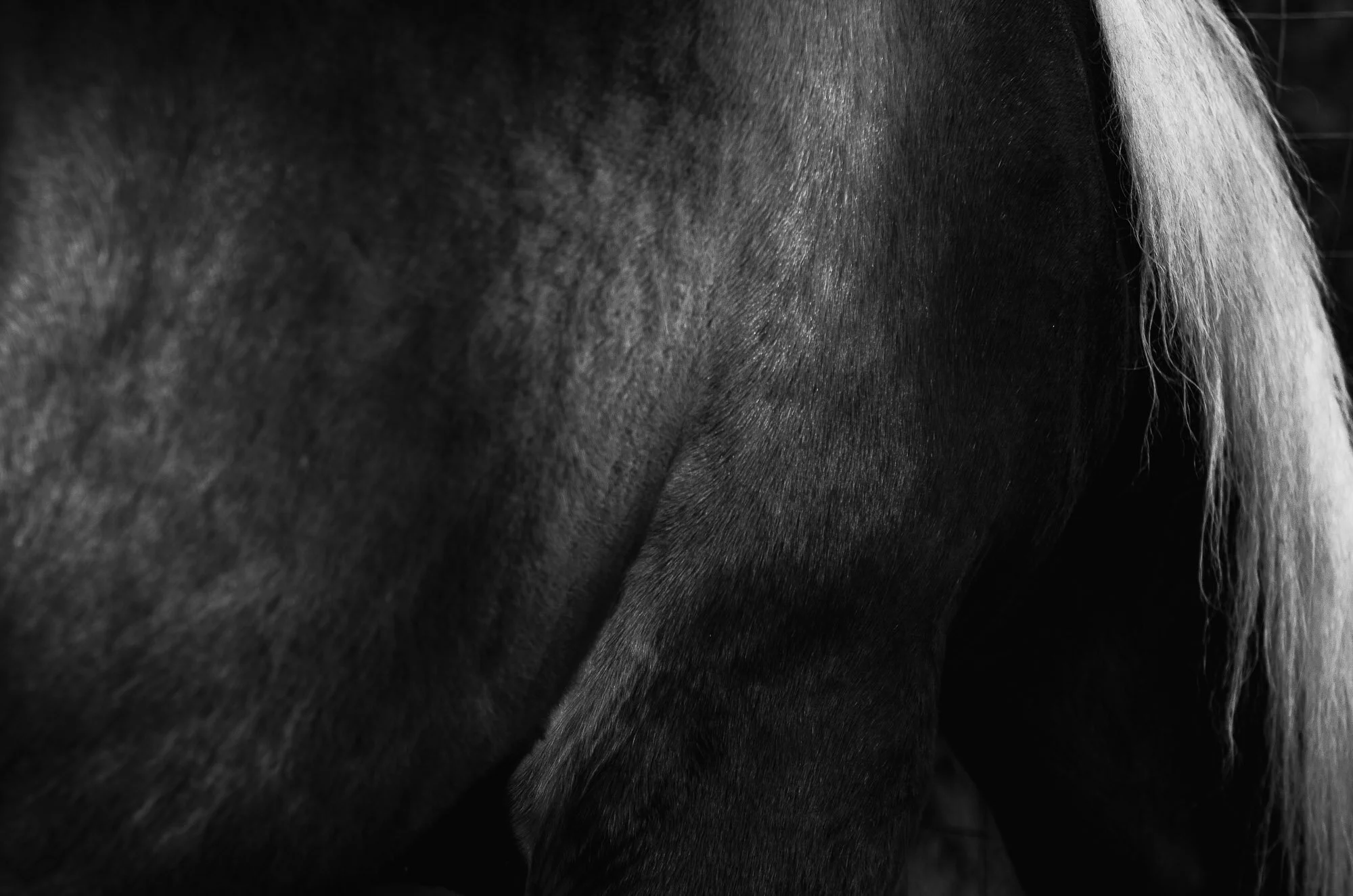 K05D6205_H2000.jpg