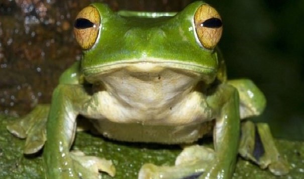 What are you looking at?