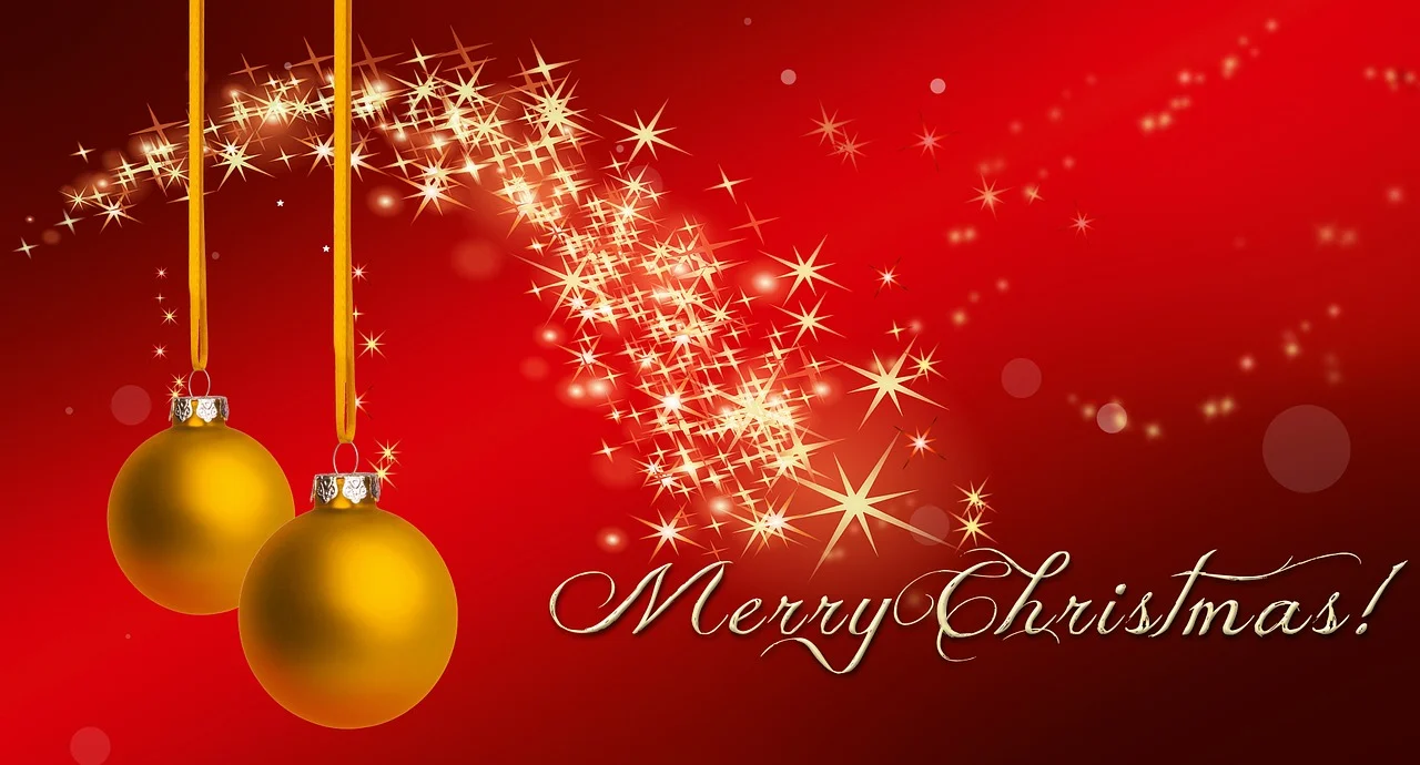 Volunteer Christmas Party