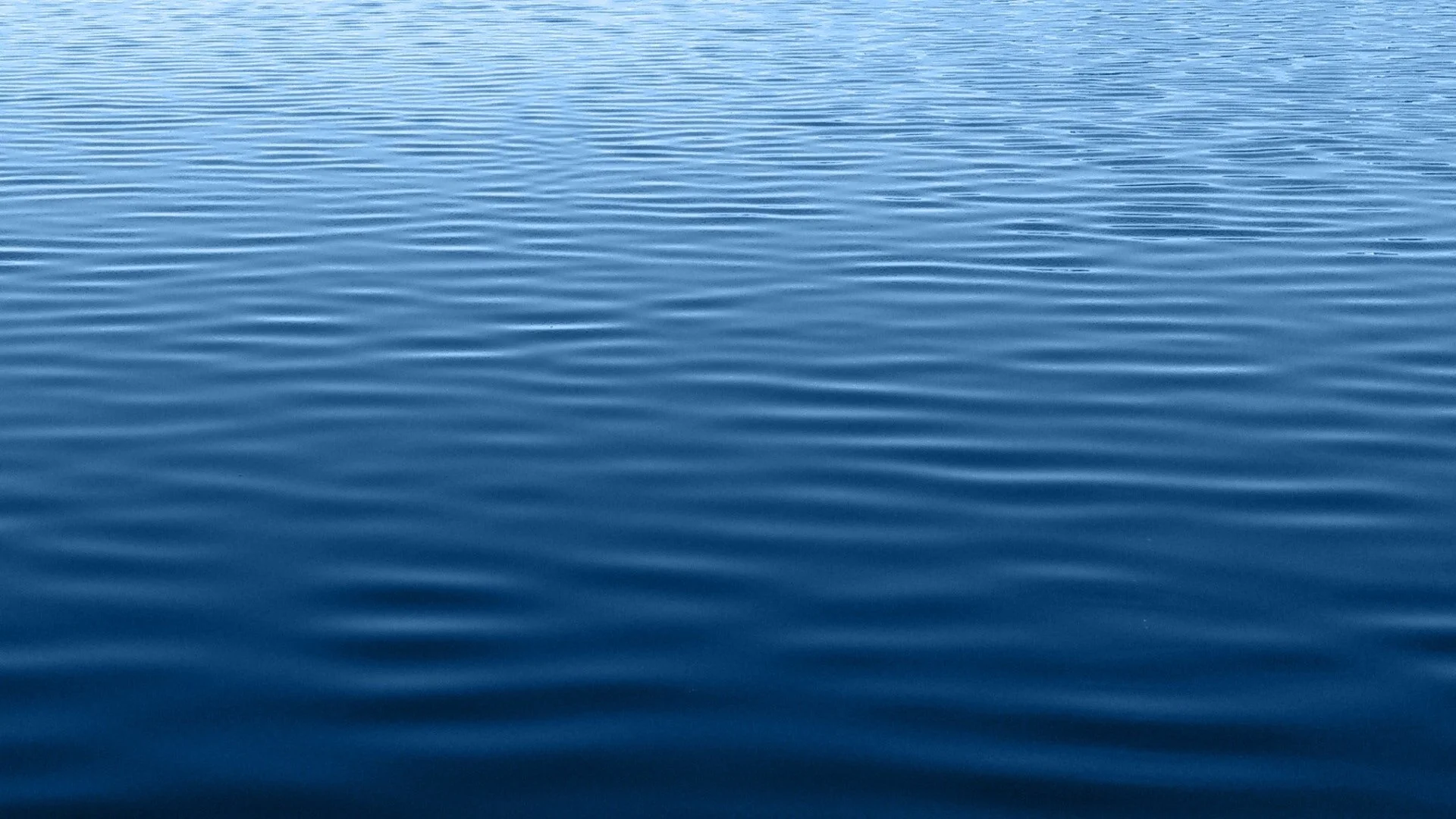 pexels-pixabay-355808.jpg