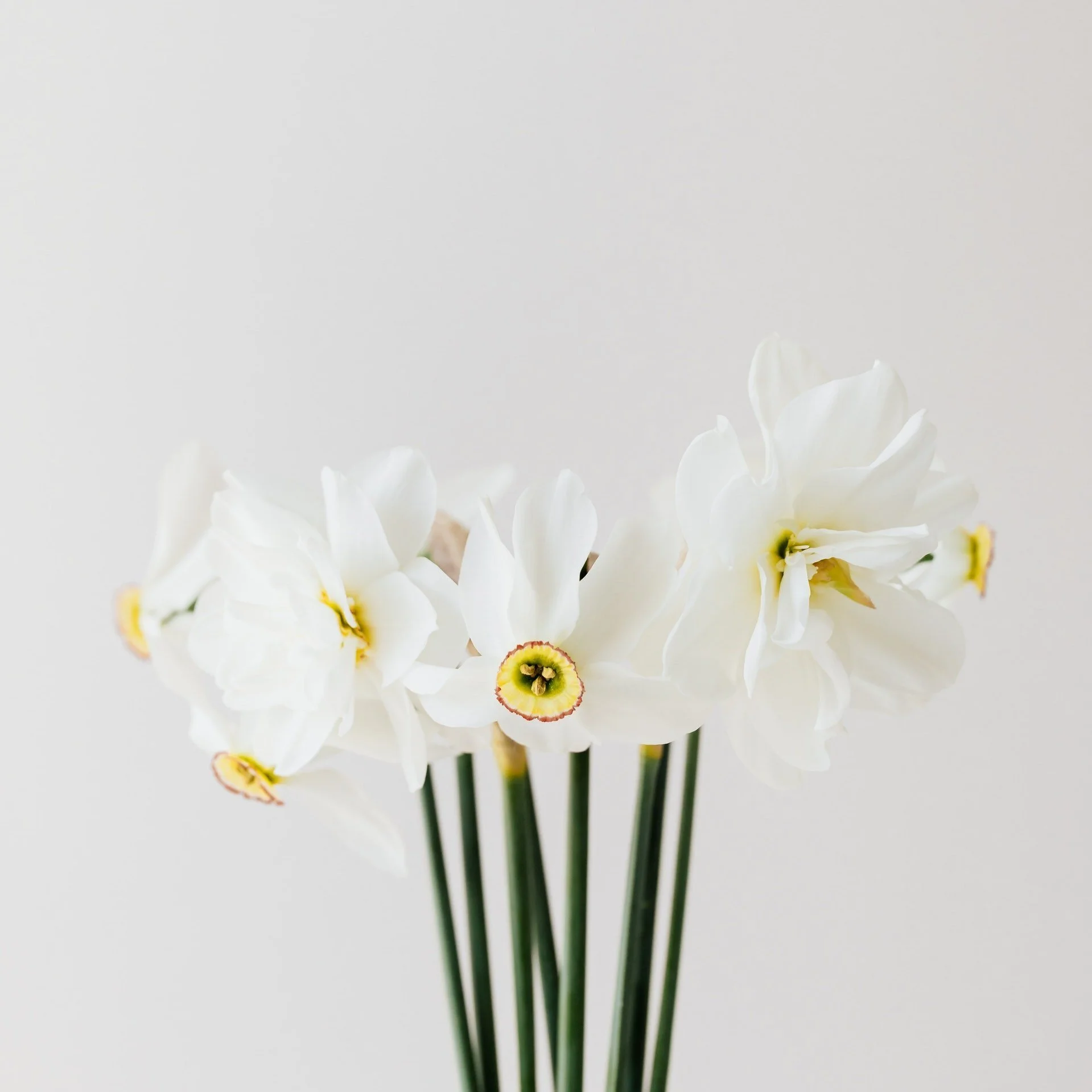 10.30am Worship Service - Mothering Sunday 27th March 2022