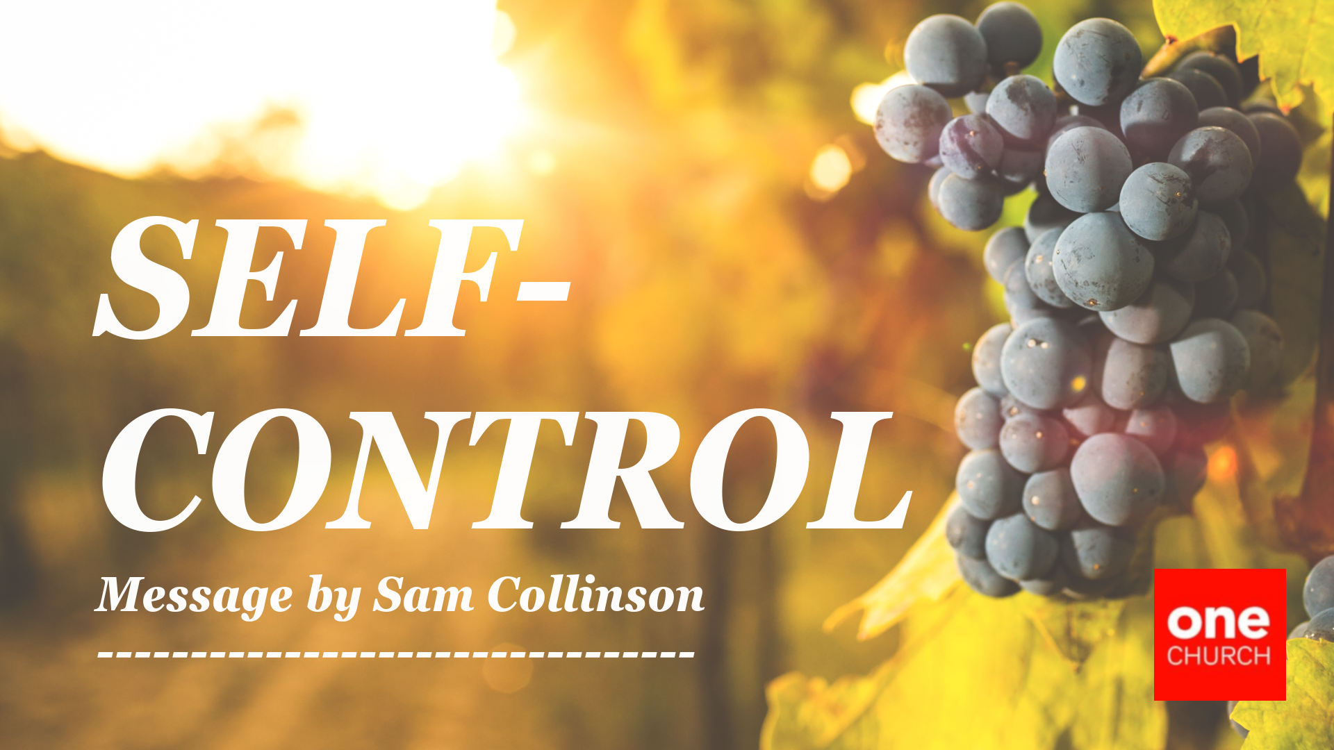 Self Control  |  The Fruit of Connection  |  Sam Collinson