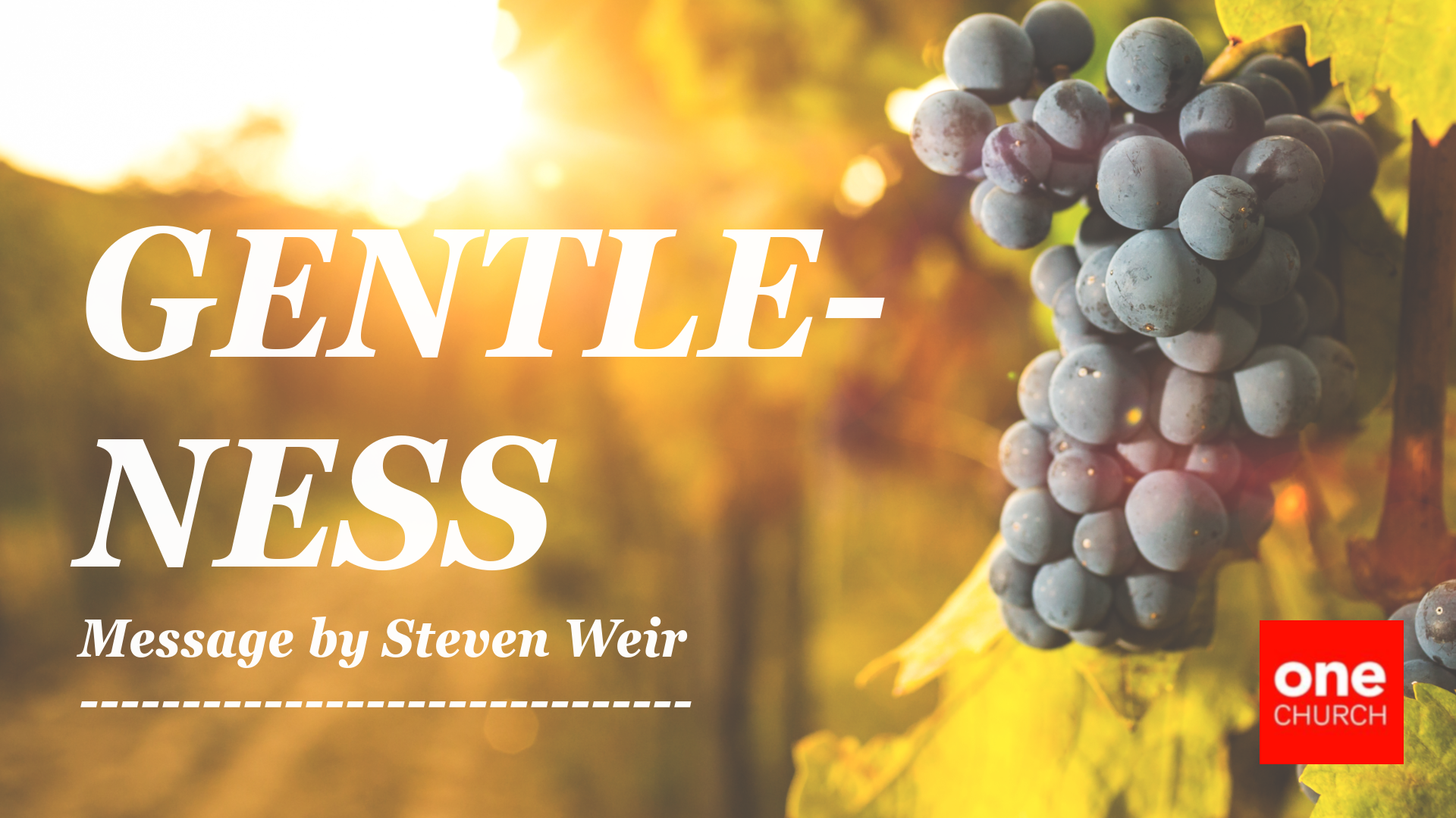 Gentleness  |  The Fruit of Connection  |  Steven Weir 