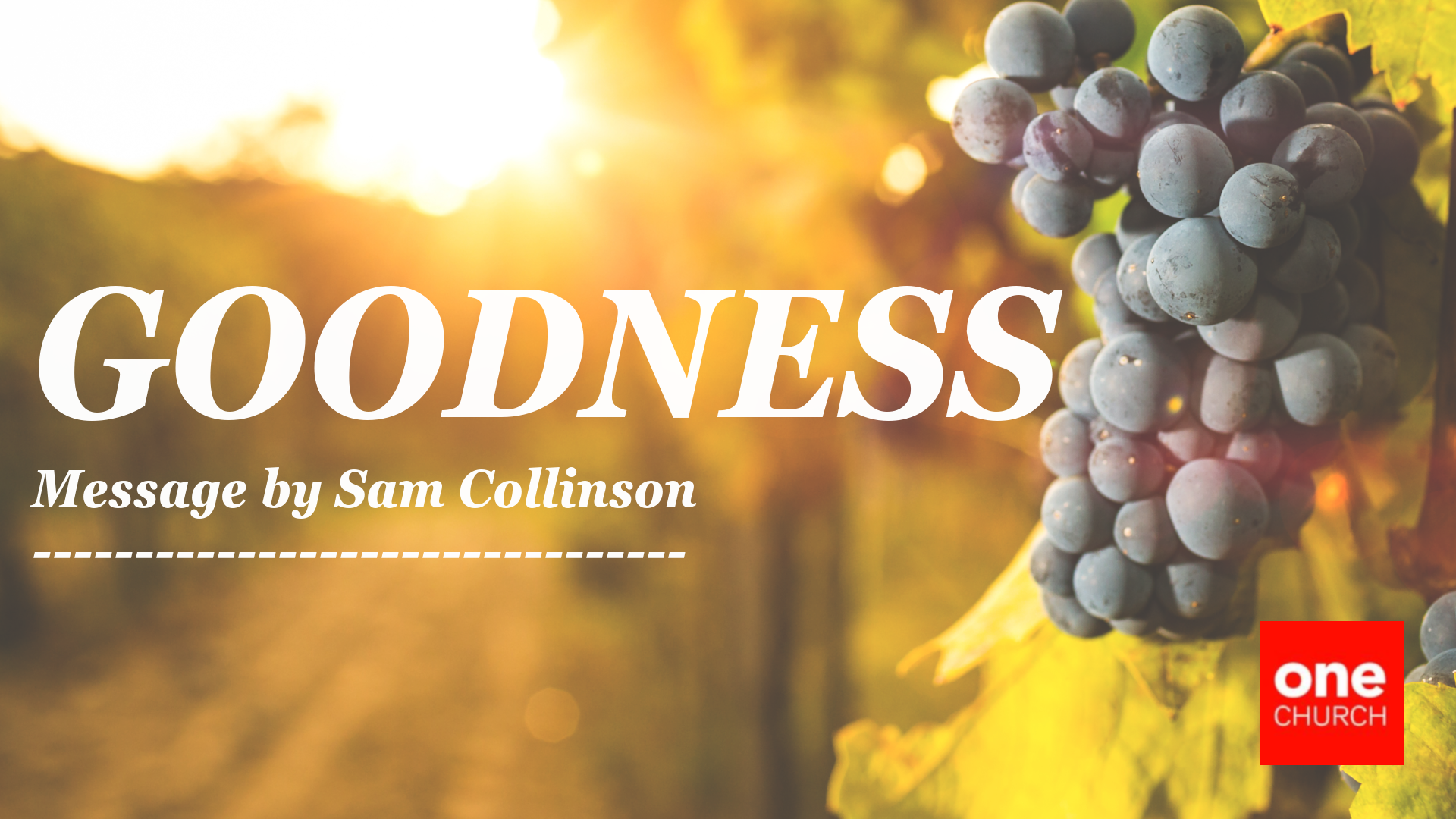 Goodness  |  The Fruit of Connection  |  Sam Collinson
