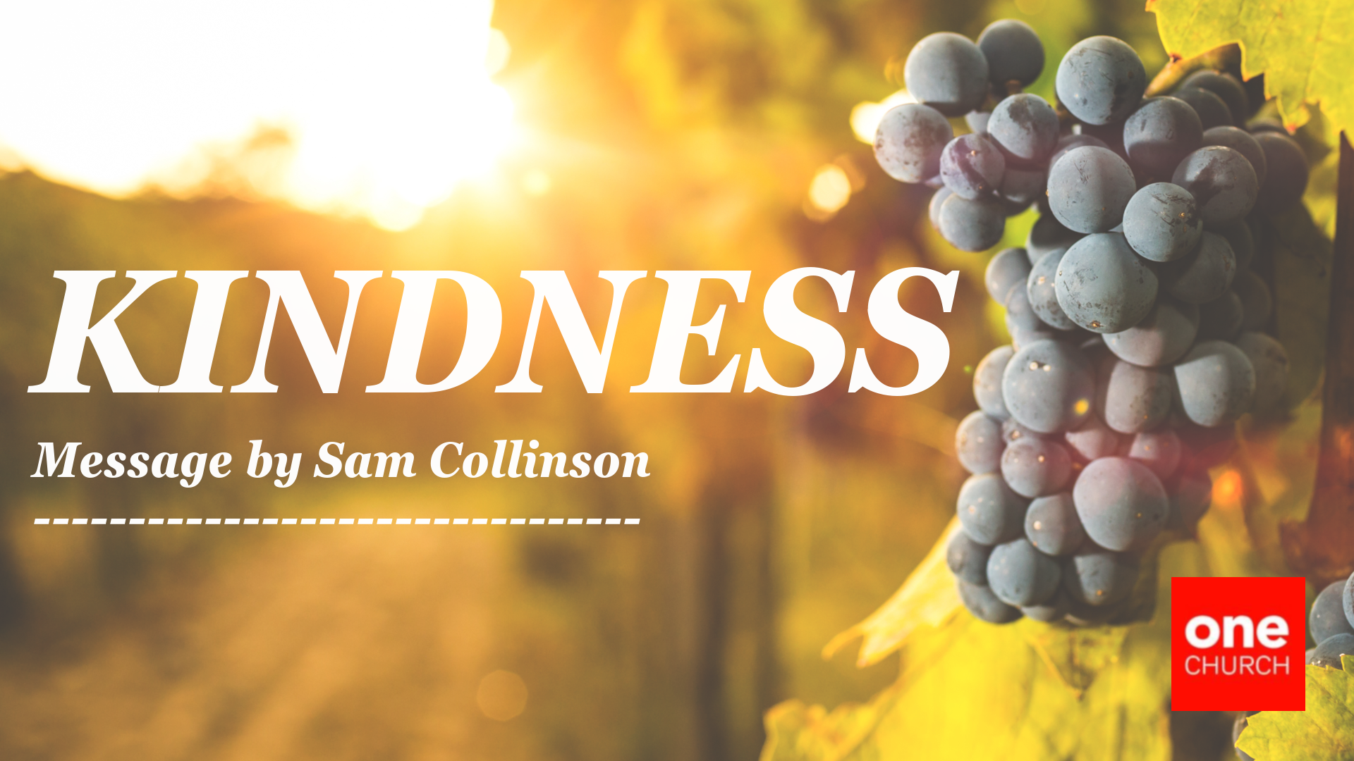 Kindness  |  The Fruit of Connection  |  Sam Collinson