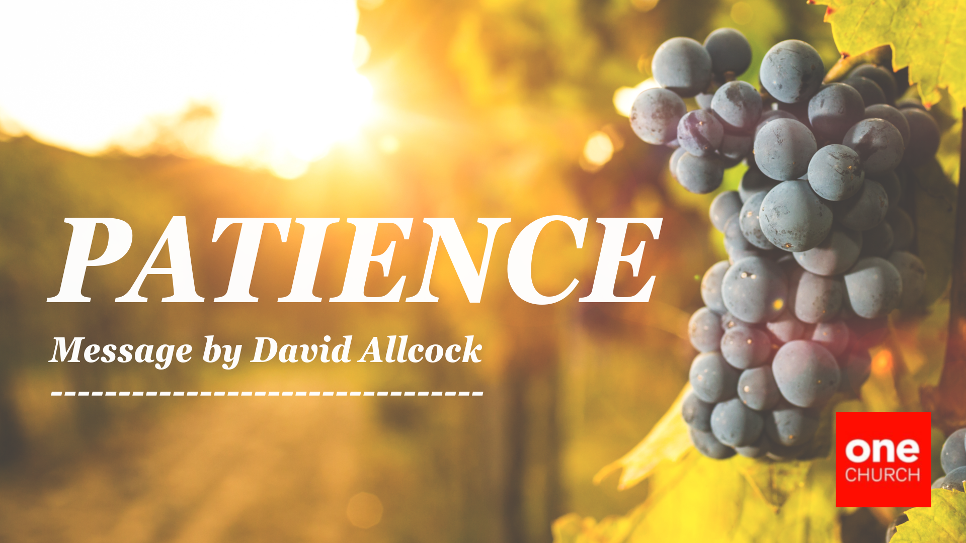 Patience  |  The Fruit of Connection  |  David Allcock