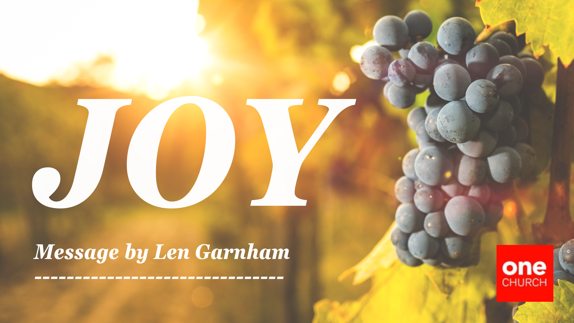 Joy  |  The Fruit of Connection  |  Len Garnham