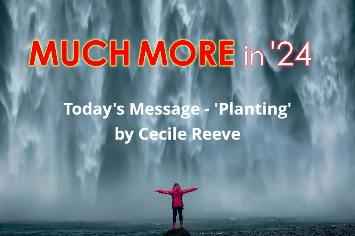 Planting | Cecile Reeve