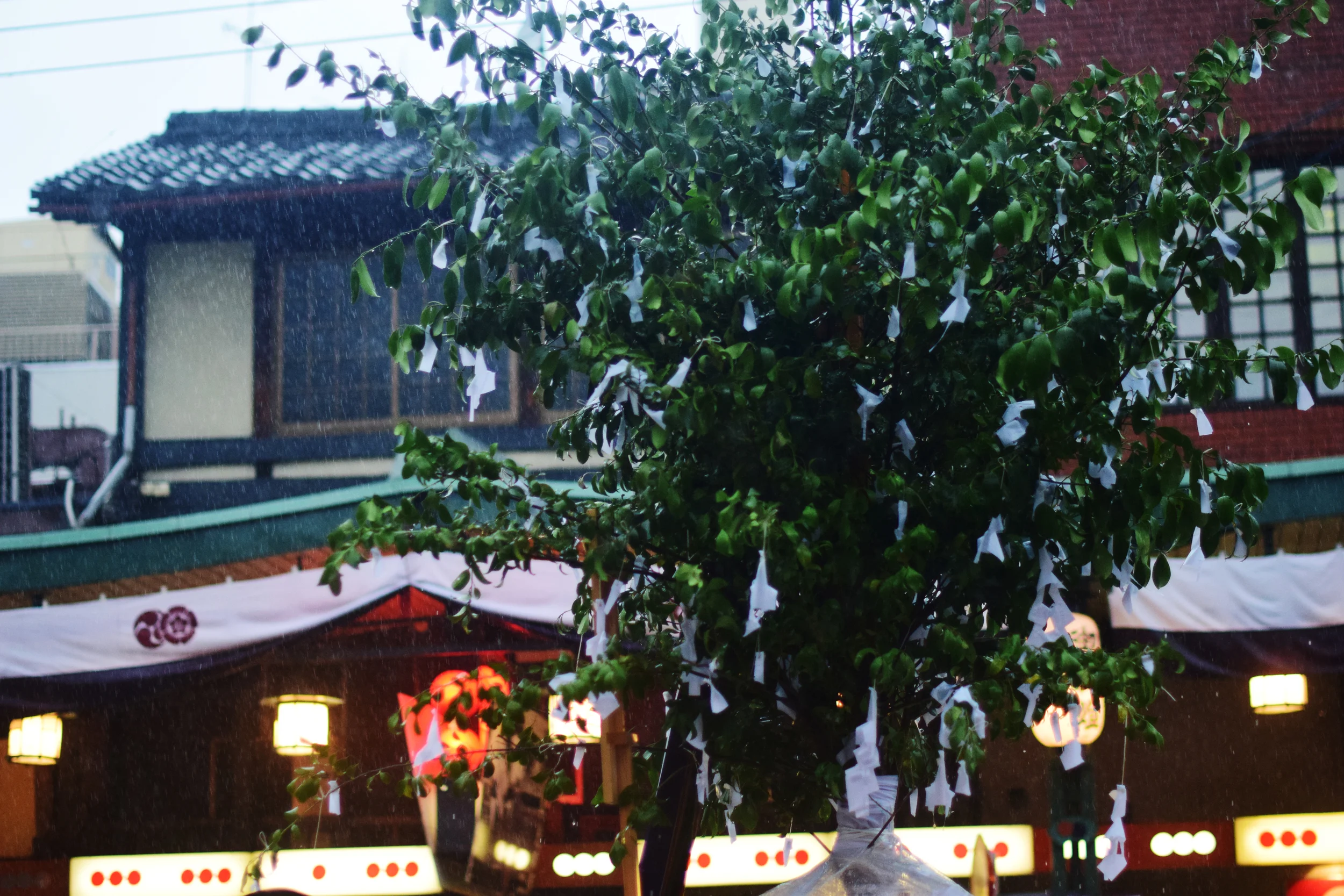 DSC_0444.JPG