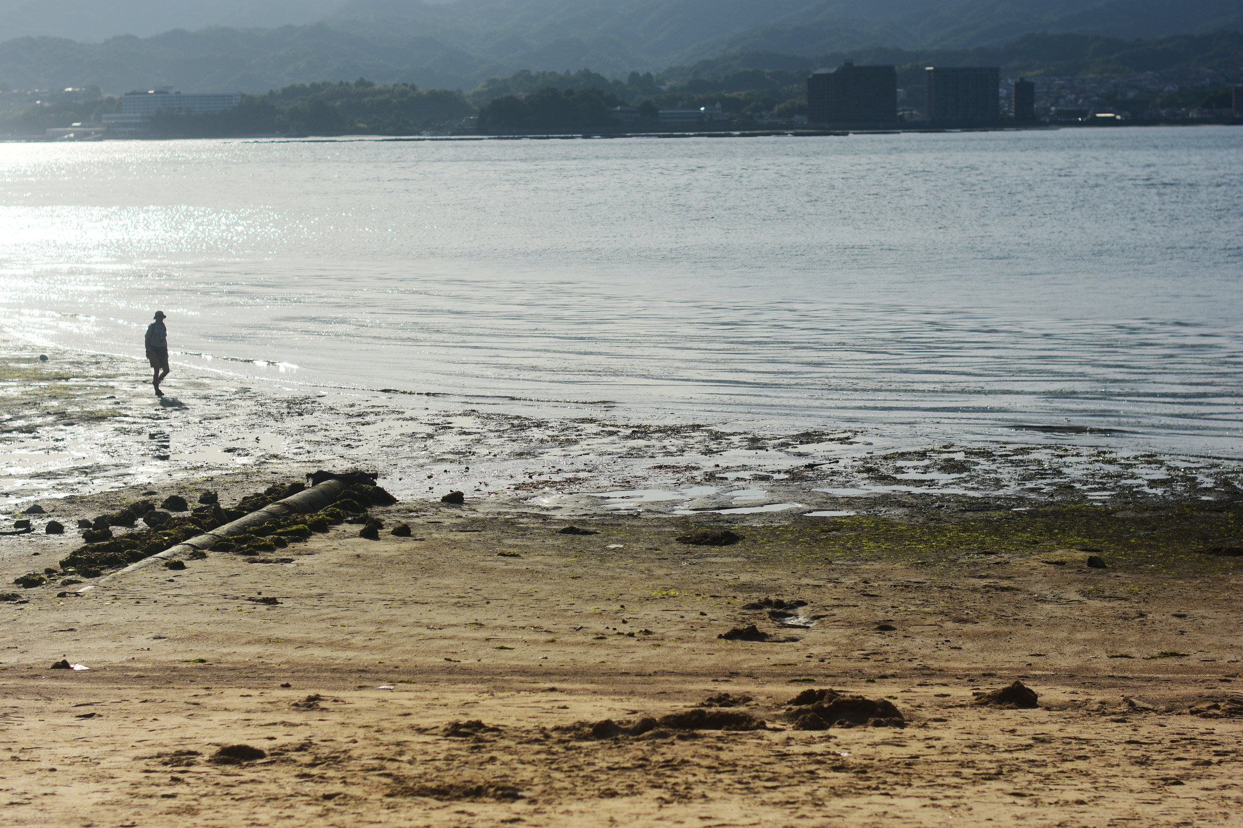 DSC_0805.JPG