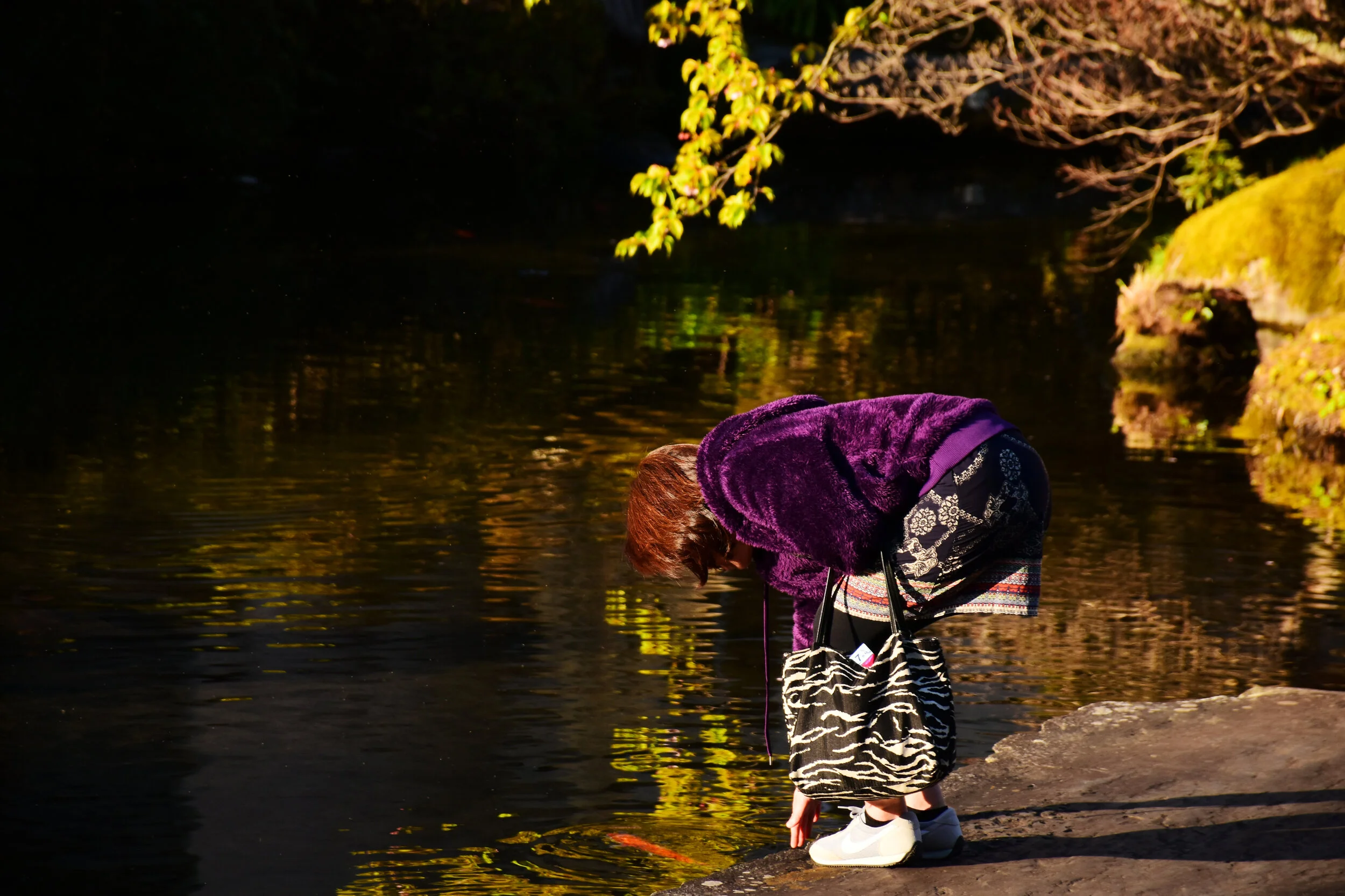 DSC_2571.JPG