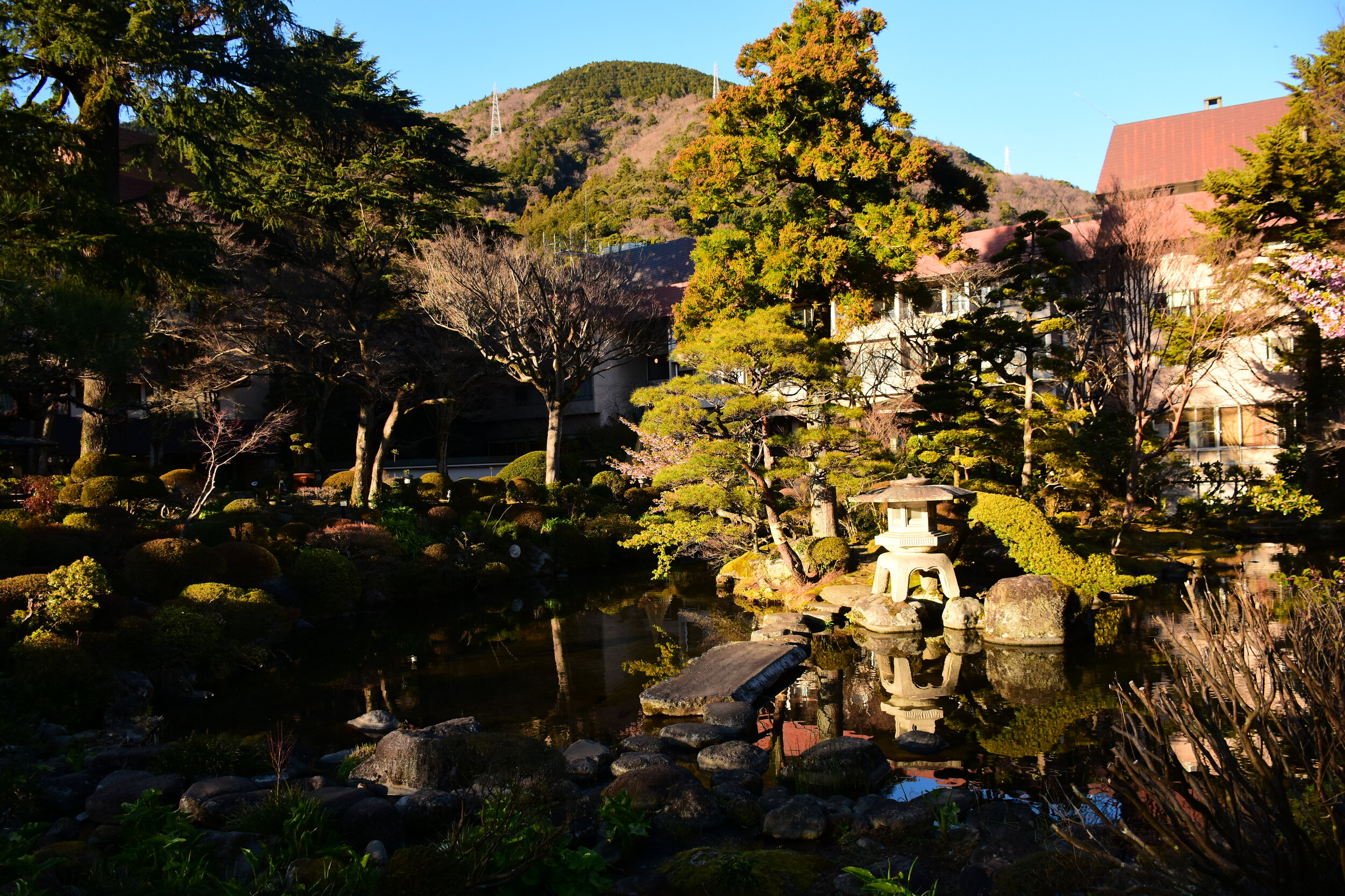 DSC_2559.JPG