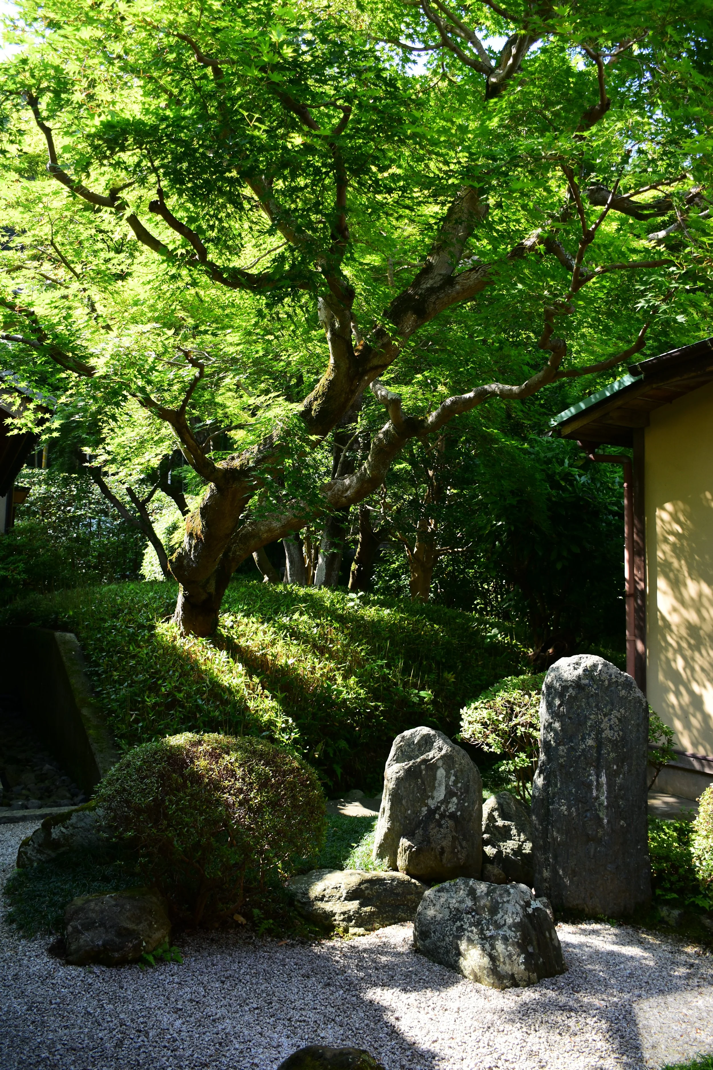 DSC_5758.JPG