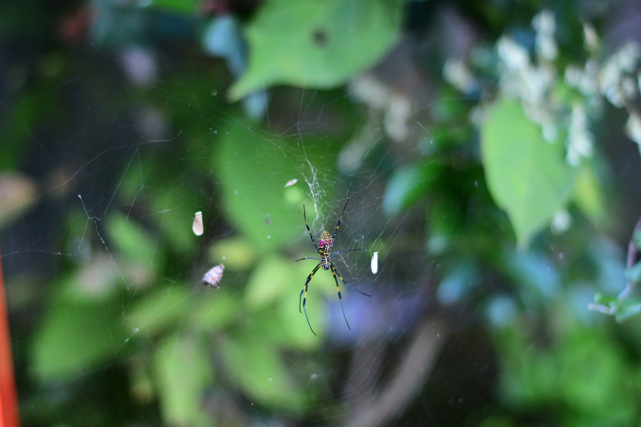DSC_9205.JPG
