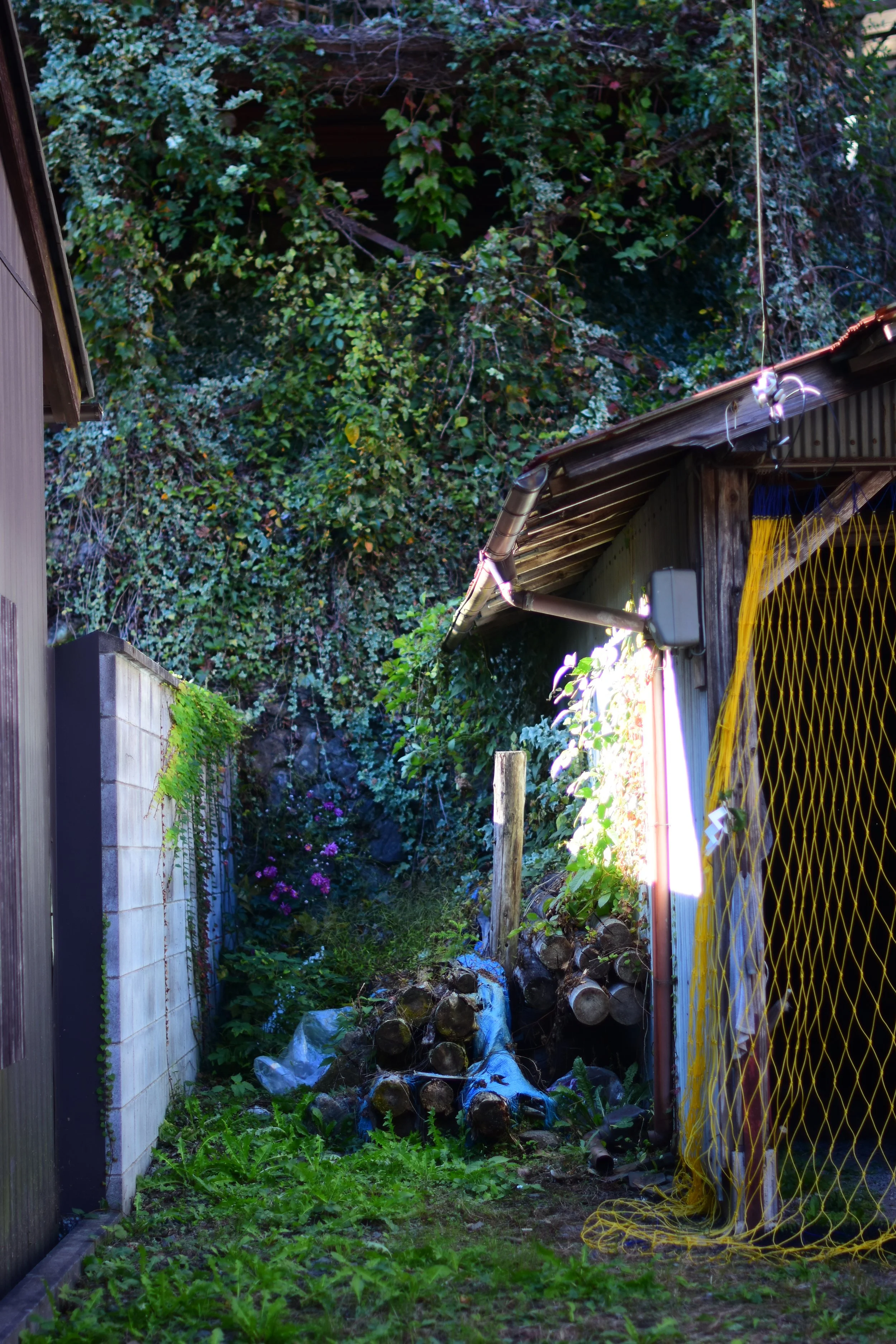 DSC_9193.JPG