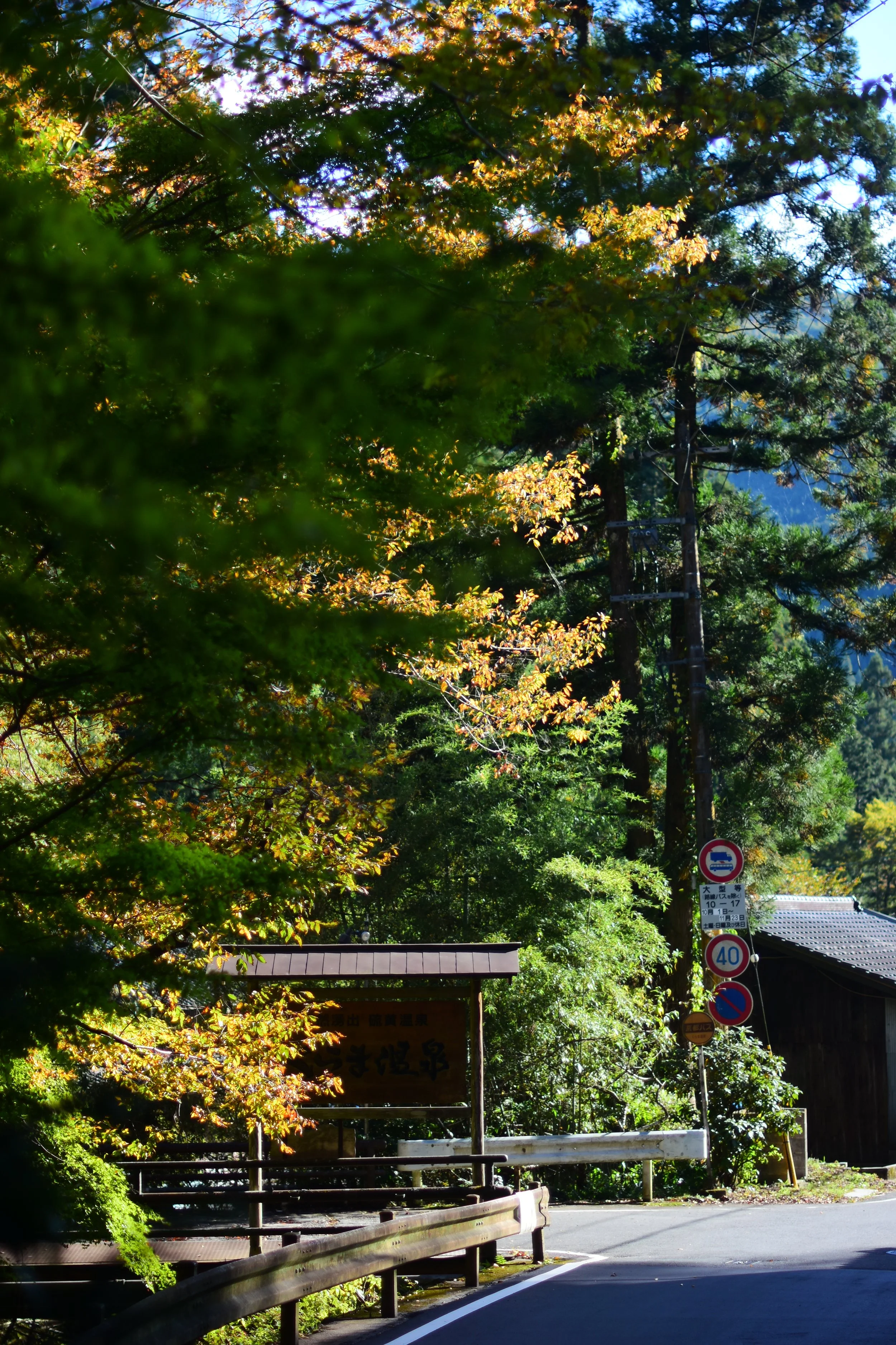 DSC_9153.JPG