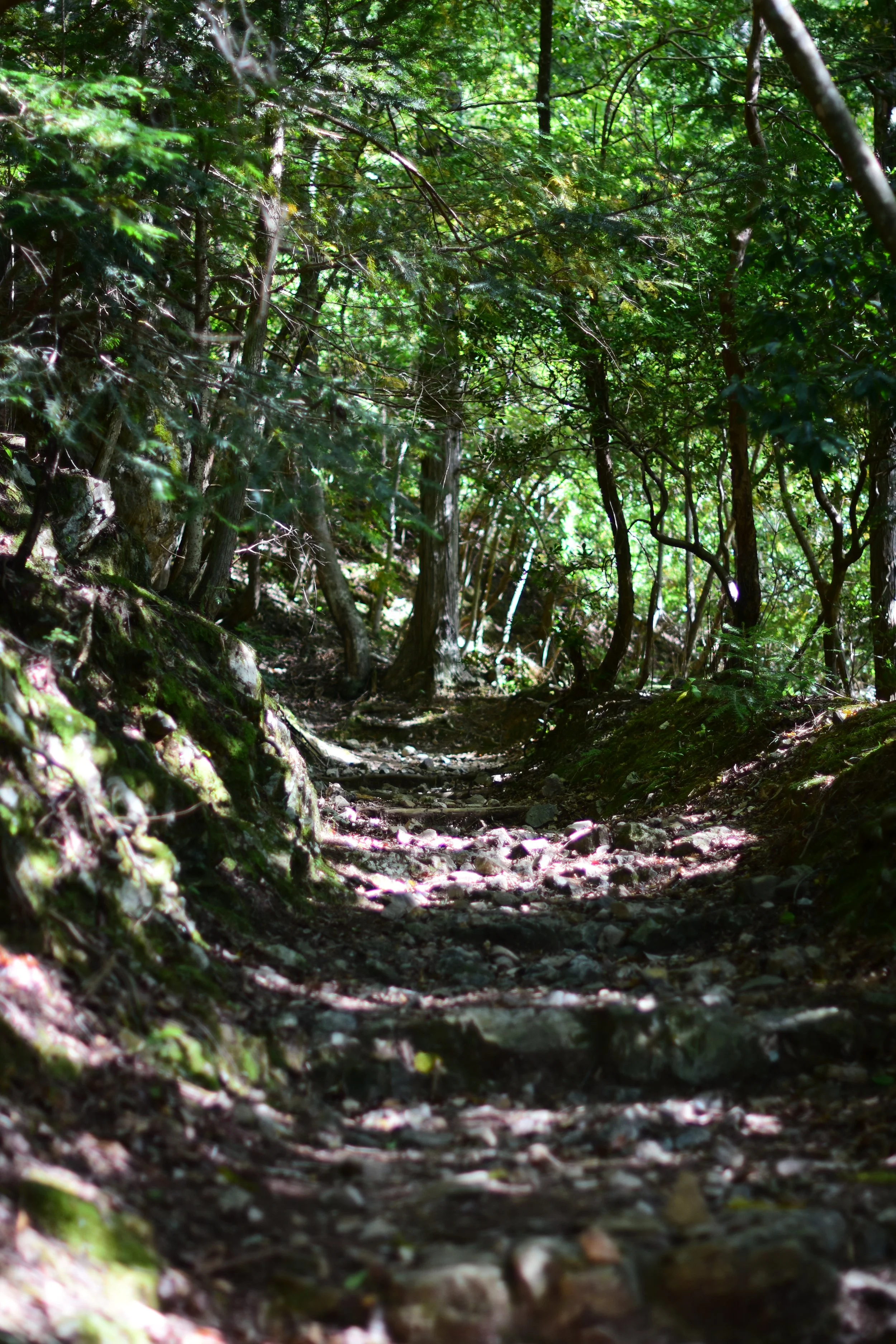 DSC_9141.JPG