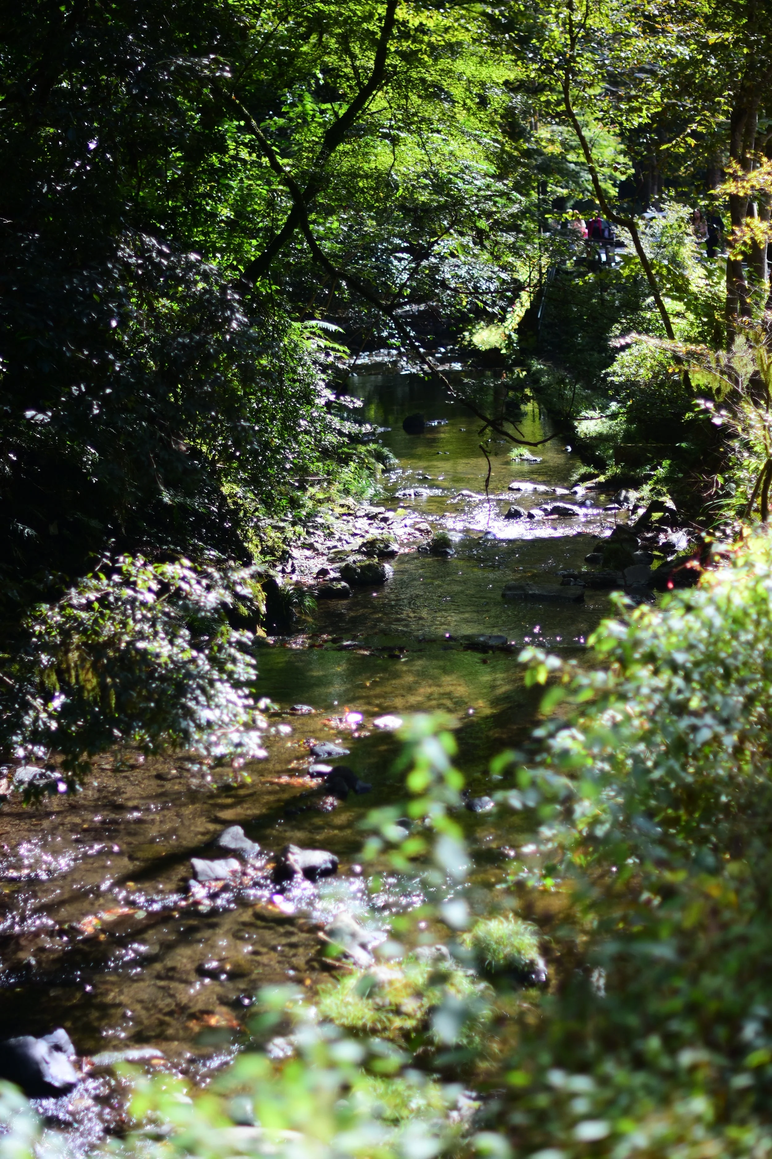 DSC_9128.JPG