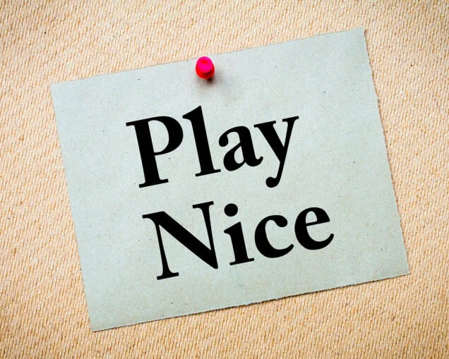 Play-Nice-636x509.jpg