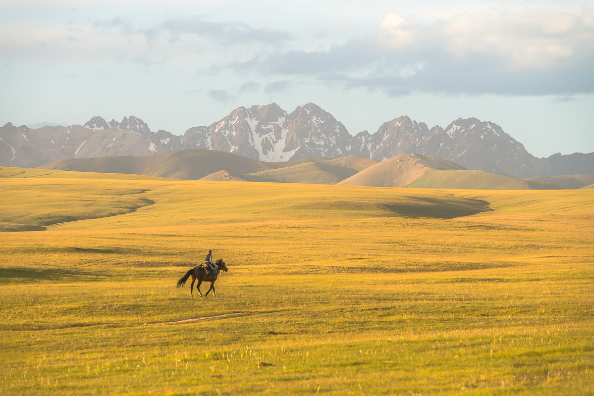 nomads-4.jpg