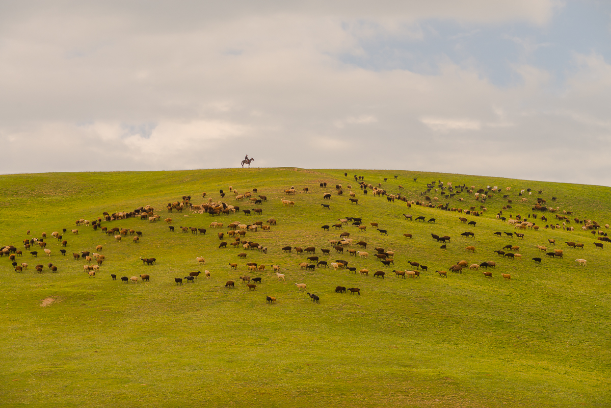 nomads-5.jpg