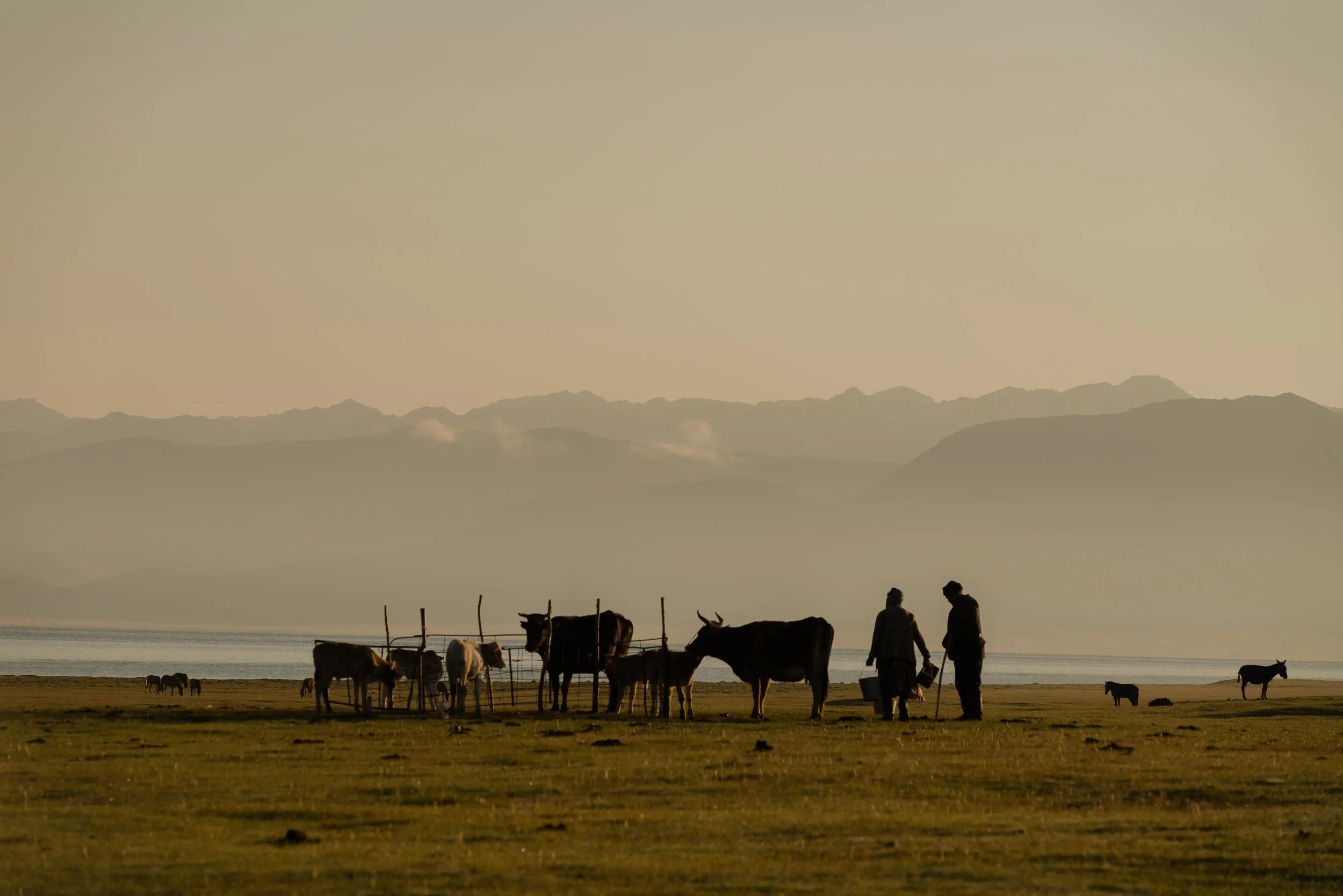 nomads-6.jpg