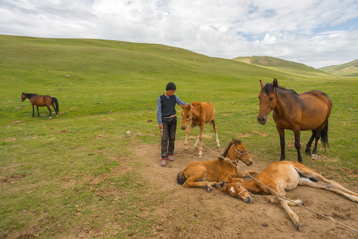 nomads-7.jpg