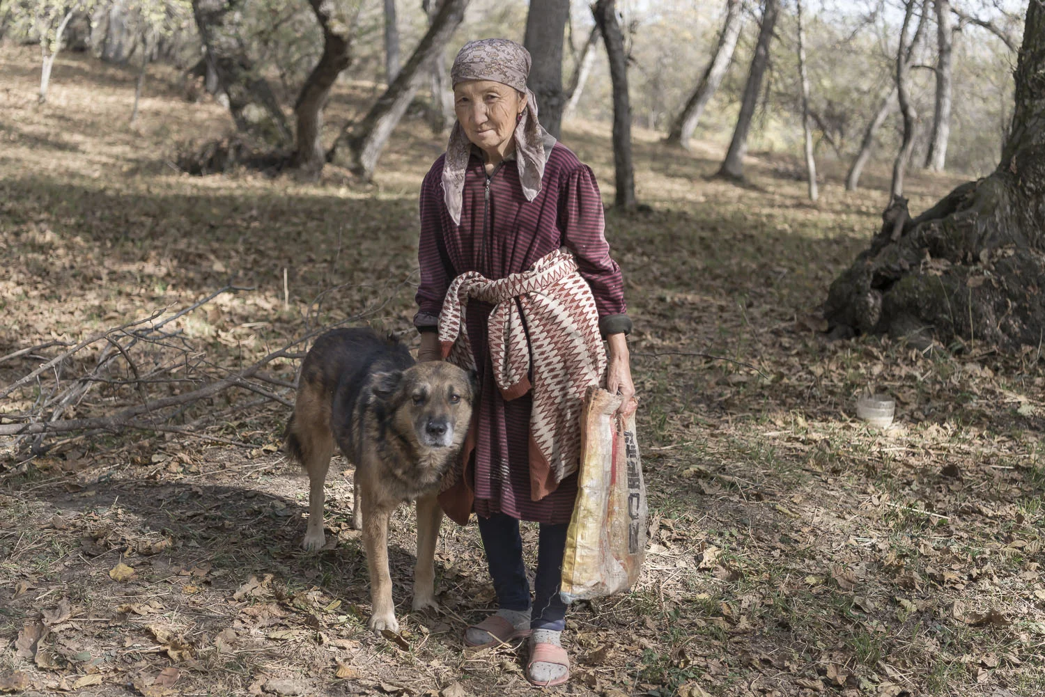 kyrgyzstan-arslanbob-walnut-picking-forest-jo-kearney-photography-video-cheltenham.jpg