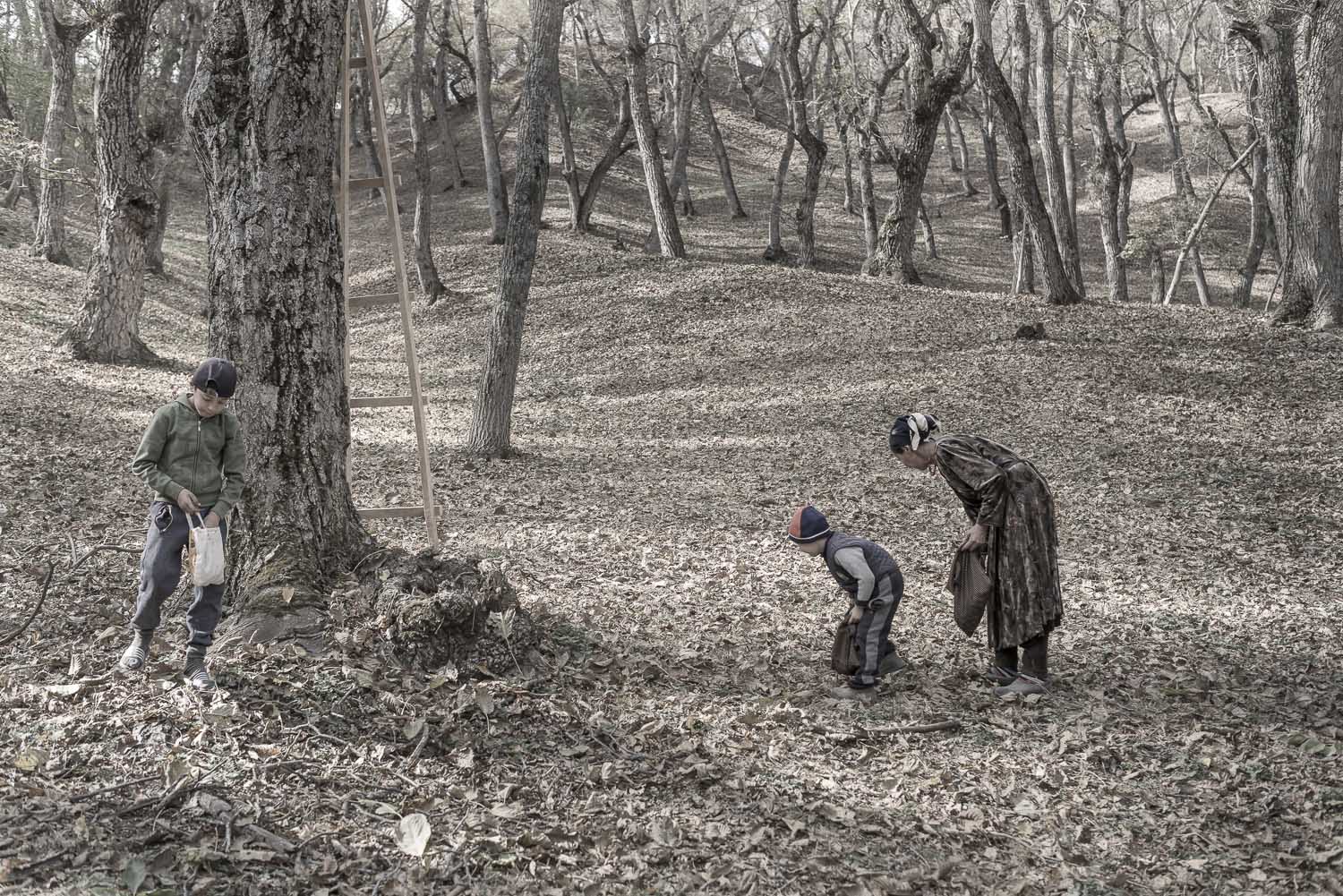 walnut-picking-pickers-arslanbob-kyrgyzstan-families-jo-kearney-photography-video.jpg