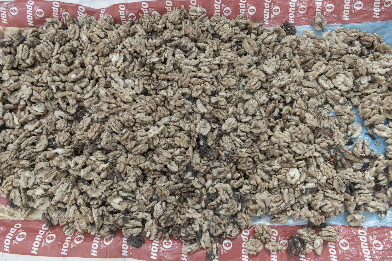 walnuts-shelled-Kyrgyzstan-jo-kearney-video-photography.jpg