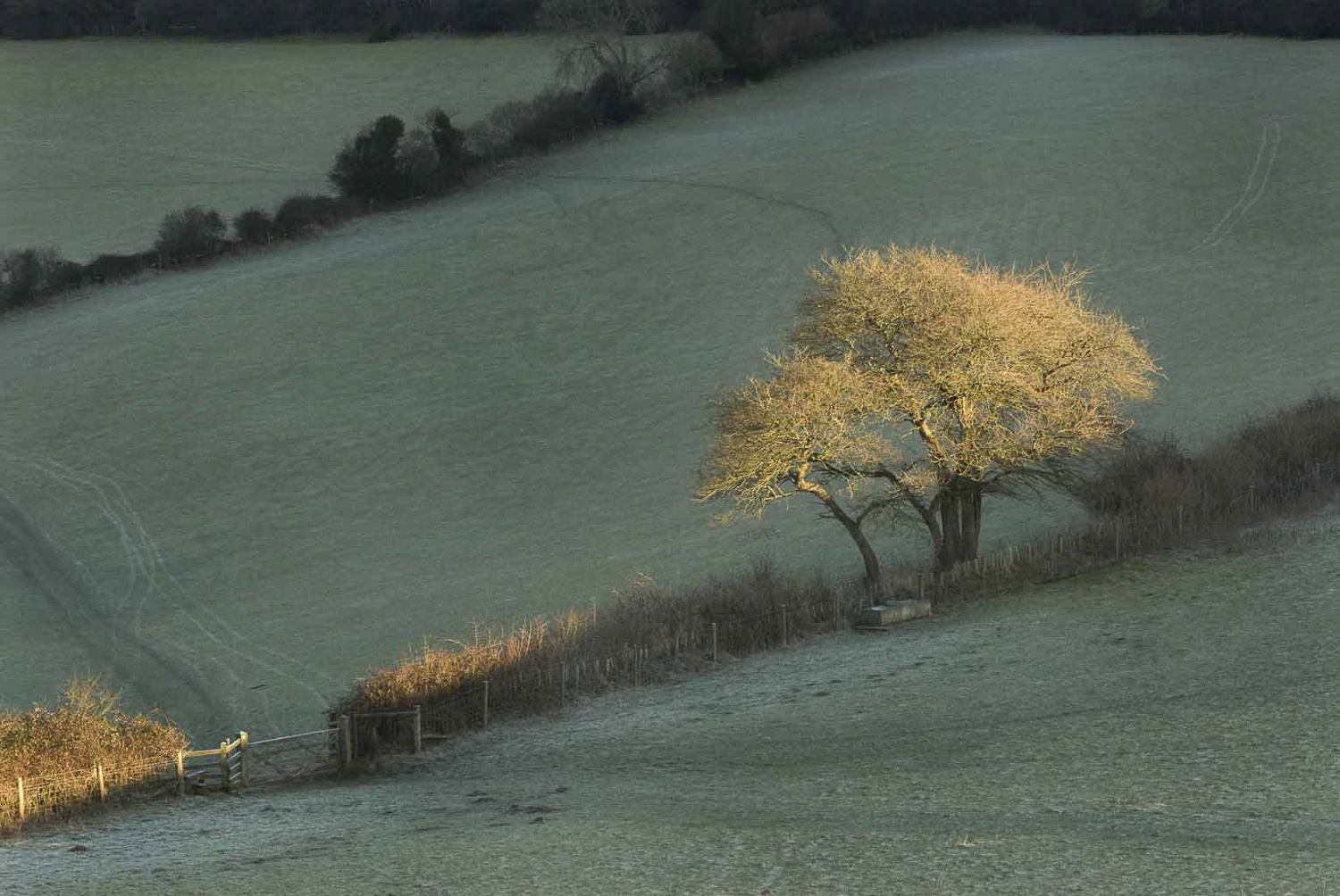 dorset-landscapephotography-landscapes-winter-jo-kearney-videographer-photographer-prints-forsale.jpg