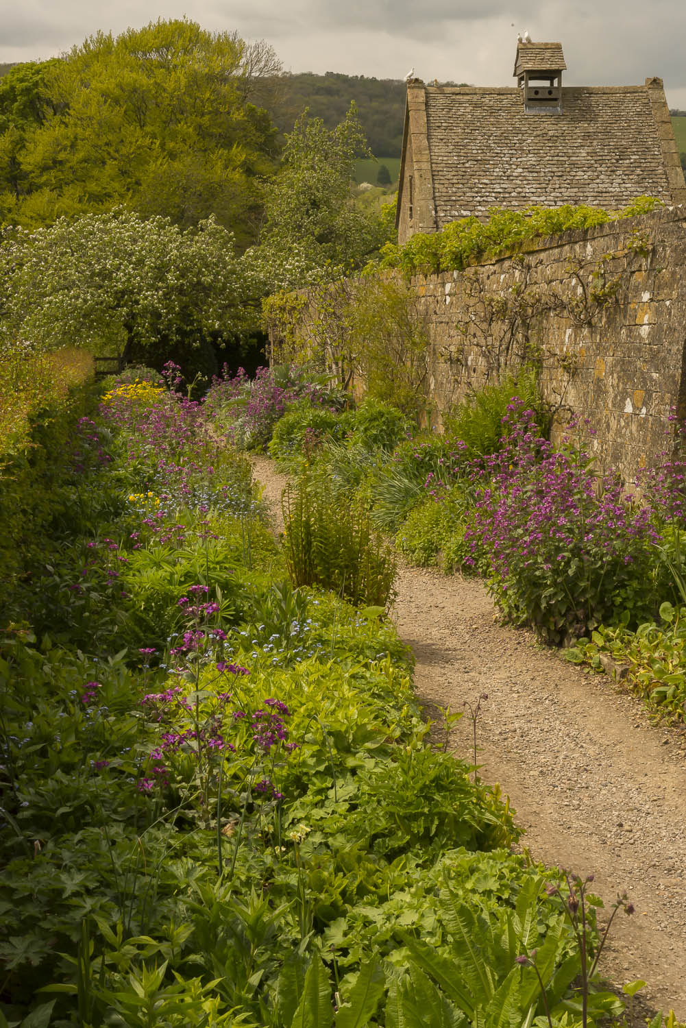 garden-Snowshill-flowers-Gloucestershire-Jo-Kearney-photos-landscape-photography-video-landscapes.jpg