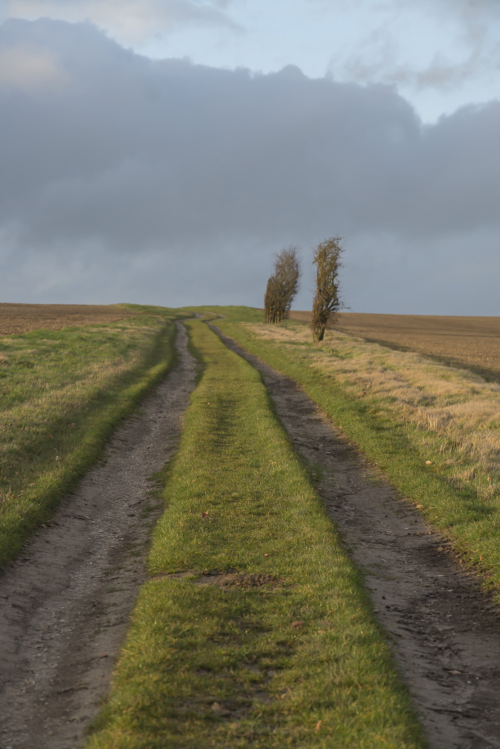 Oxfordshire-Ridgeway-winter-Jo-Kearney-photos-landscape-photography-video-landscapes.jpg