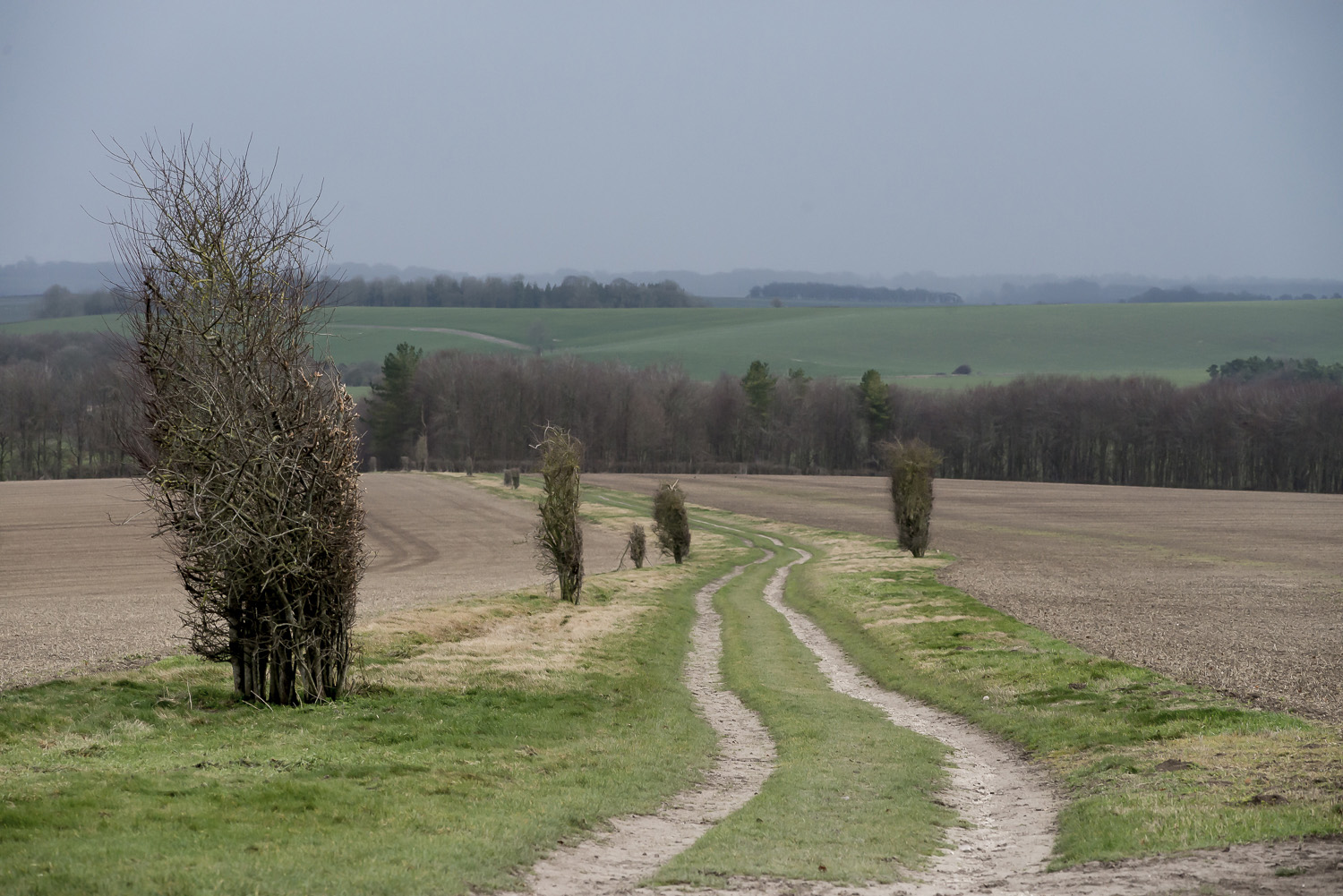 Ridgeway-path-Oxfordshire-Jo-Kearney-photos-landscape-photography-video-landscapes.jpg