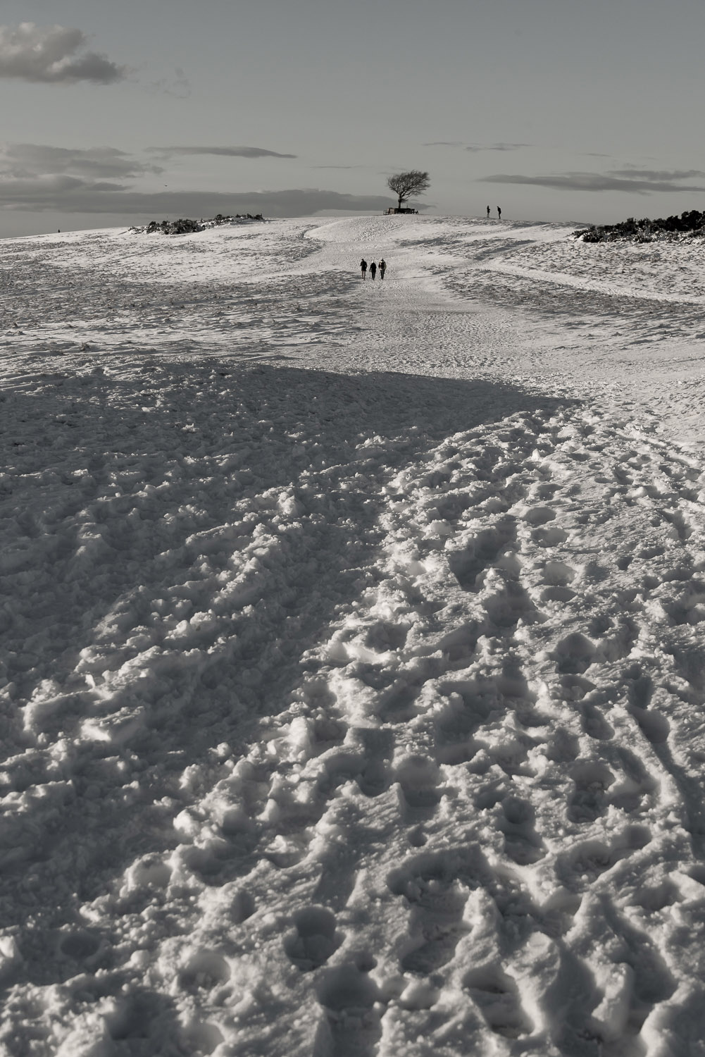 winter-snow-Cleeve-Hill-portrait-Gloucestershire-Jo-Kearney-photos-landscape-photography-video-landscapes.jpg